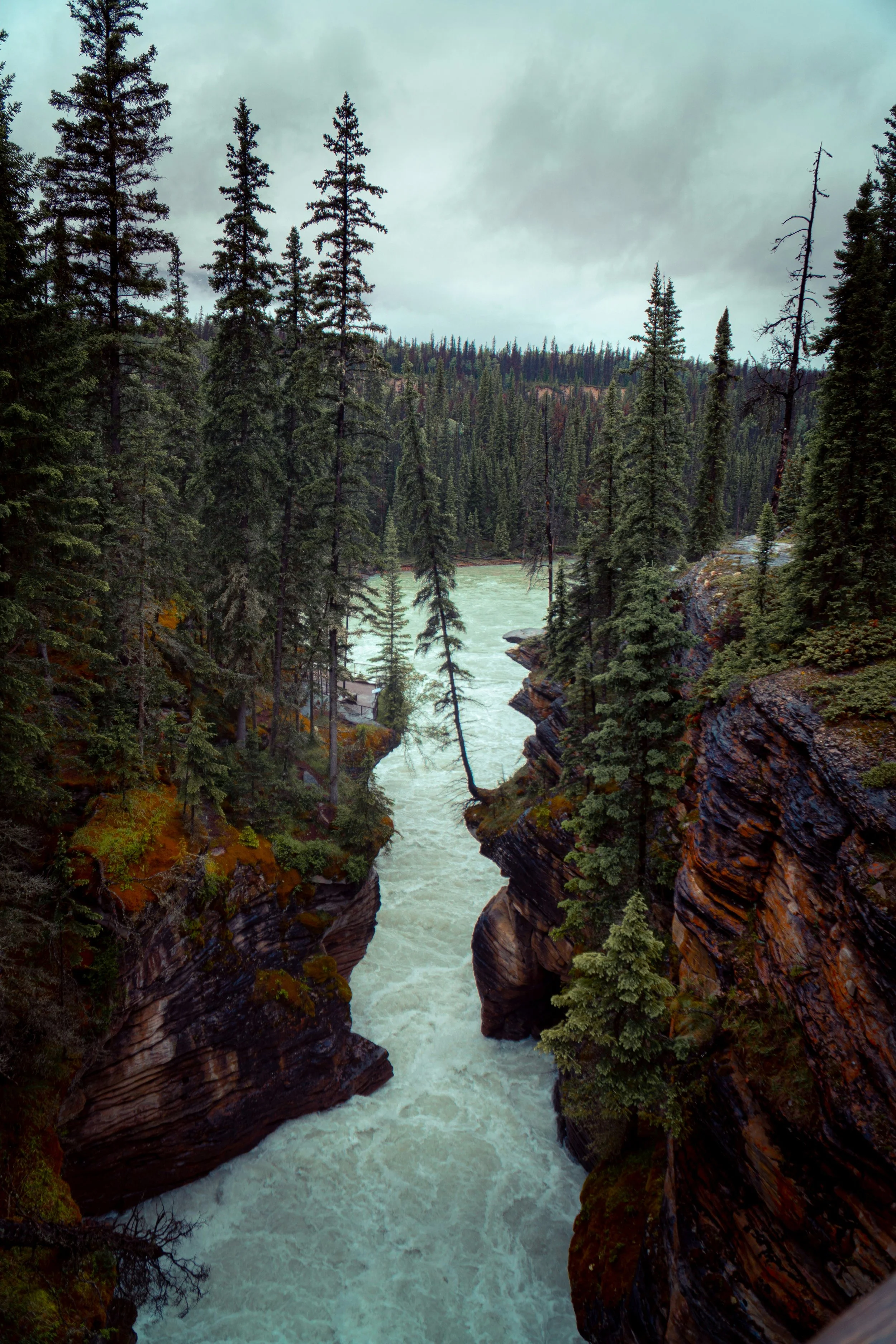 athabasca falls canyon views