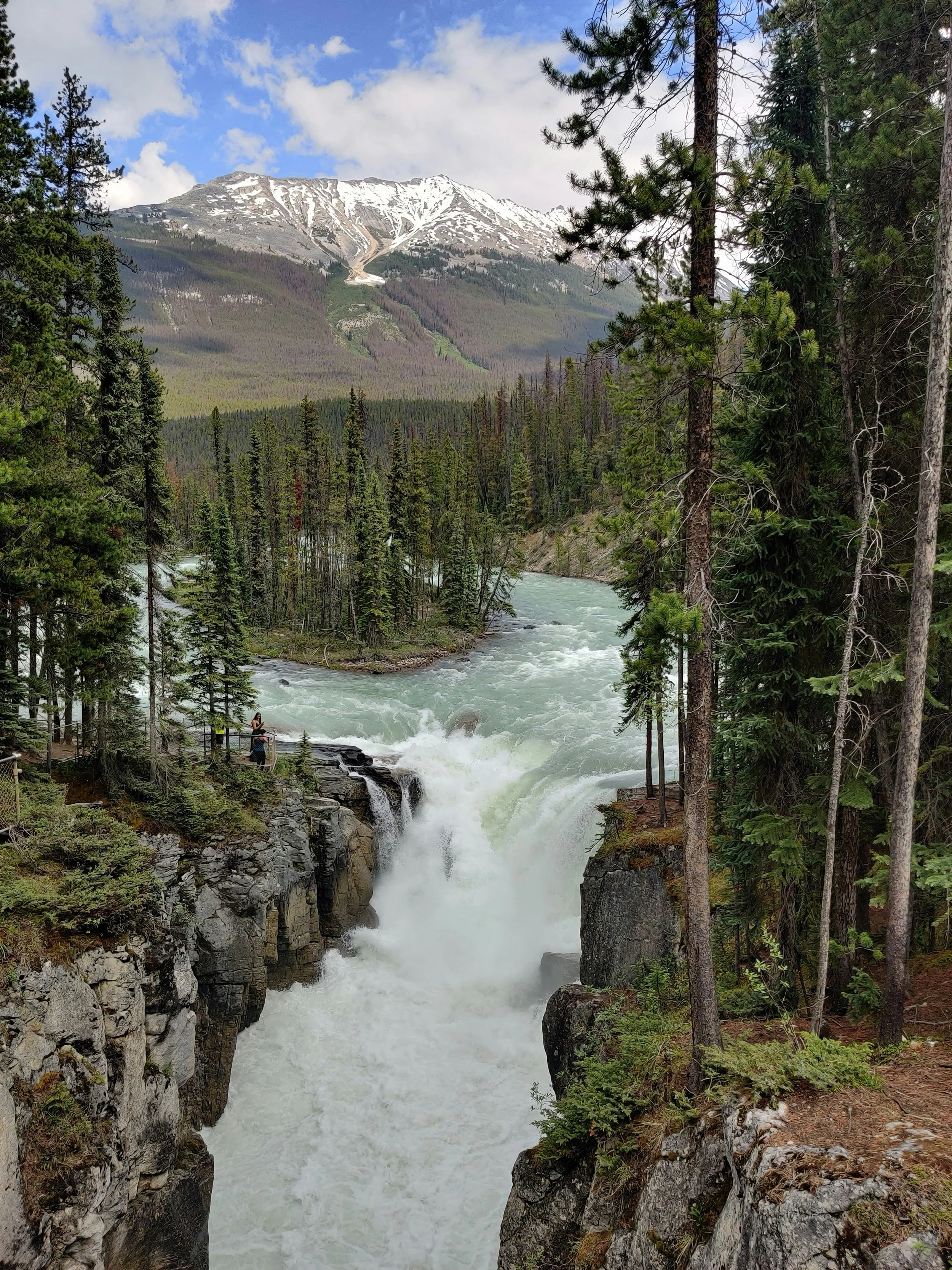 Sunwapta Falls waterfall stop along the Icefields Parkway on the Banff to Jasper drive