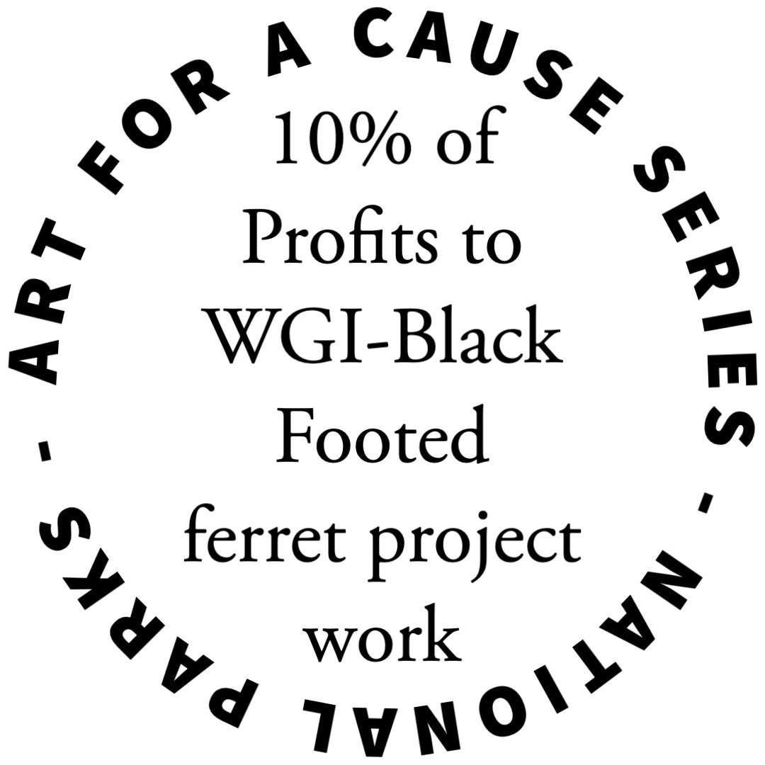 https://i.etsystatic.com/41675446/r/il/480fbf/4926469706/il_fullxfull.4926469706_n84r.jpg