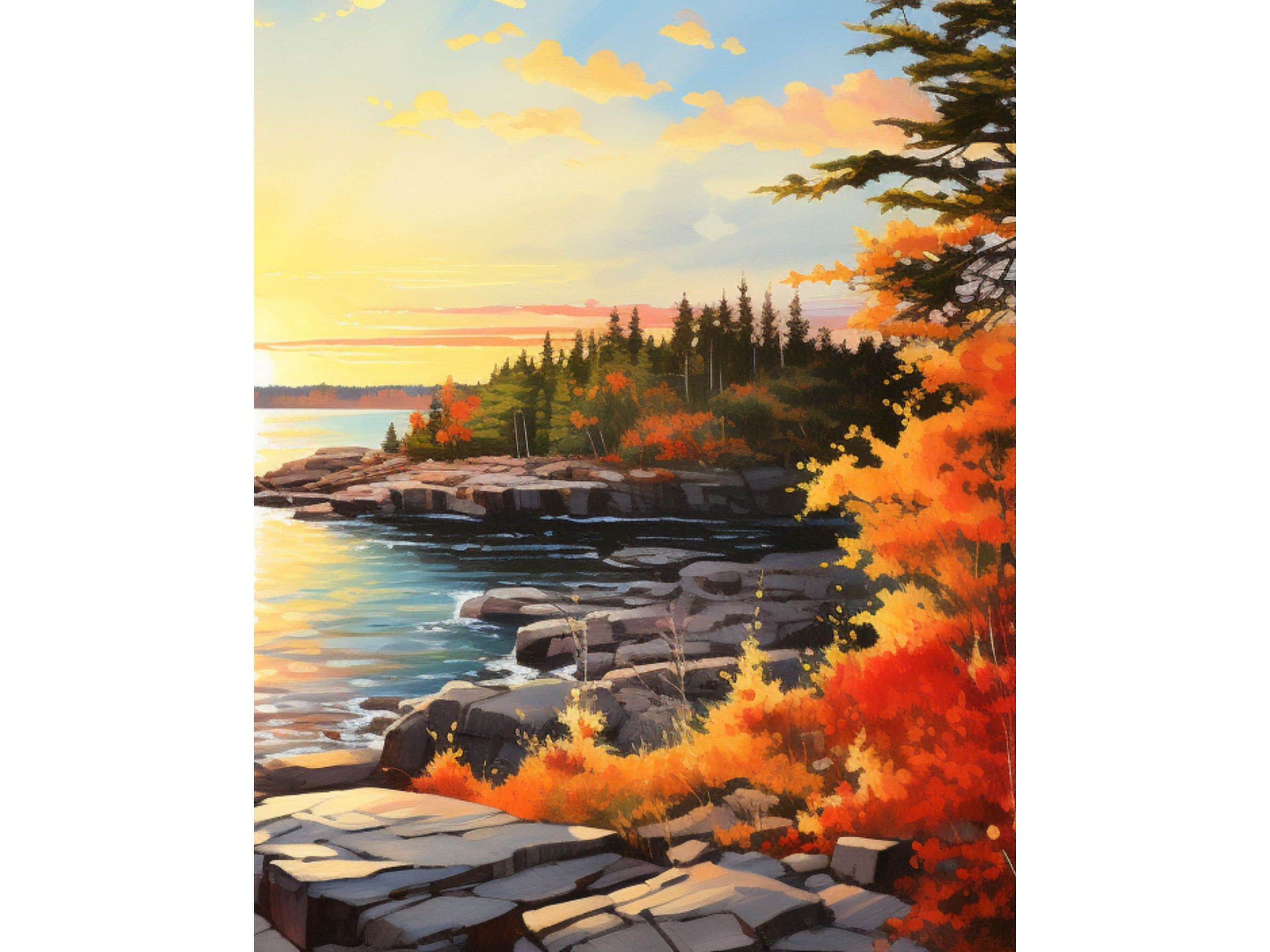 https://i.etsystatic.com/41675446/r/il/8bd058/5697416277/il_fullxfull.5697416277_inc0.jpg