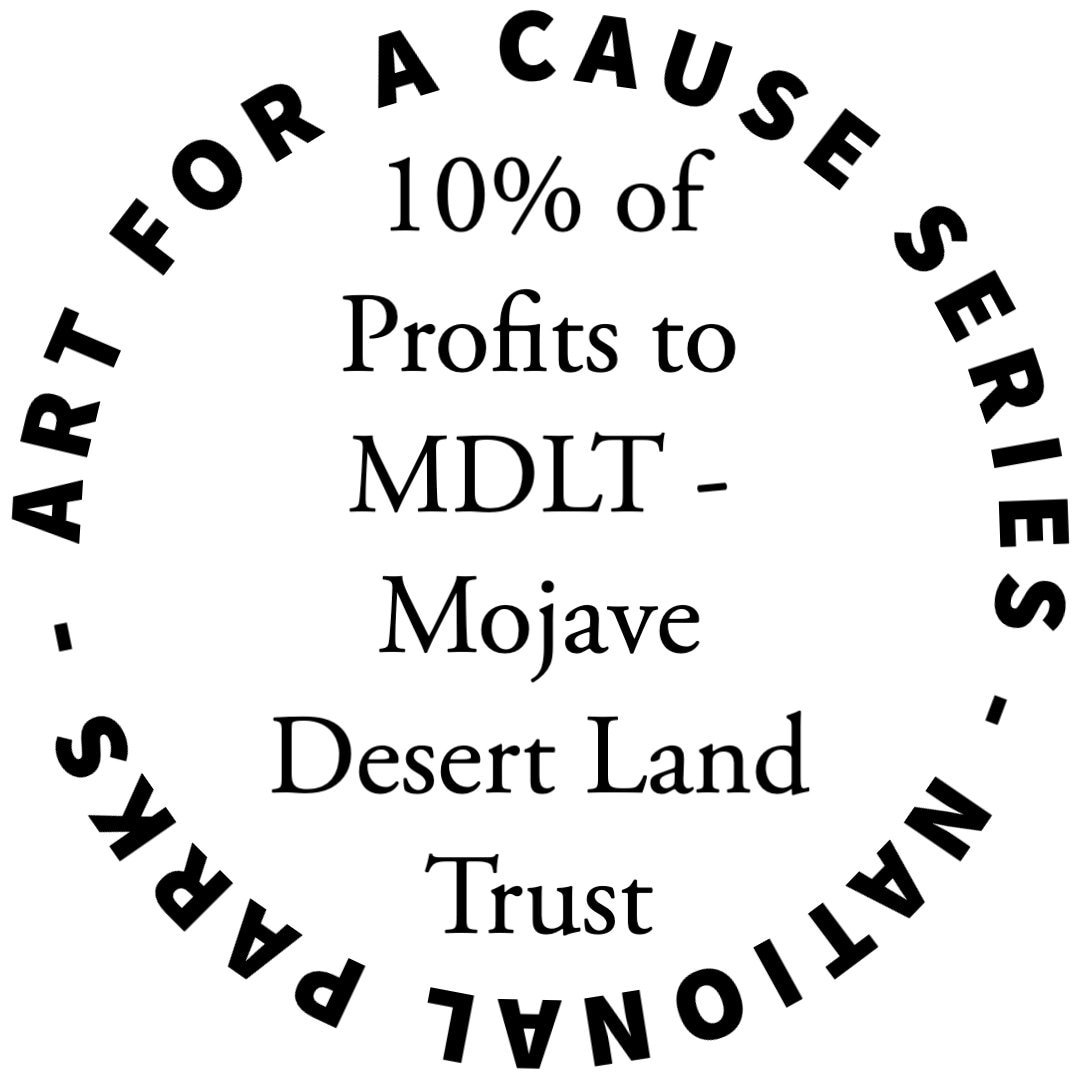 https://i.etsystatic.com/41675446/r/il/52962c/4975902631/il_fullxfull.4975902631_1sgi.jpg