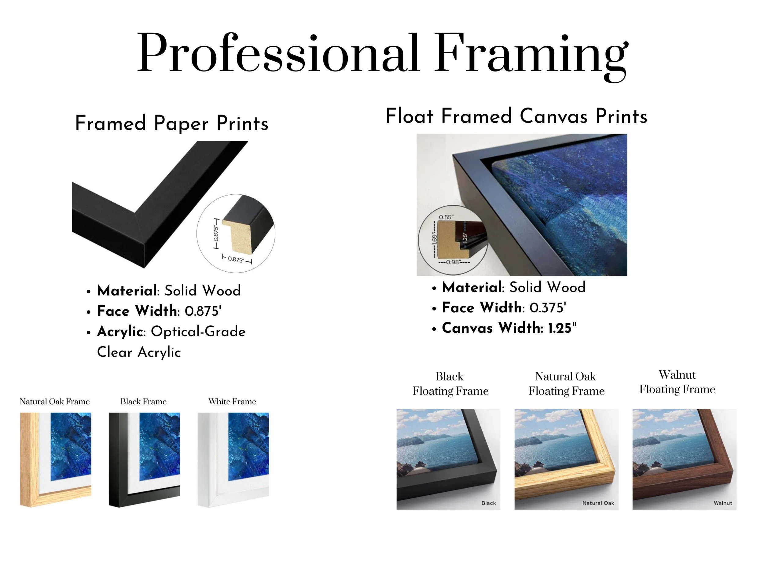Frame Options.jpg