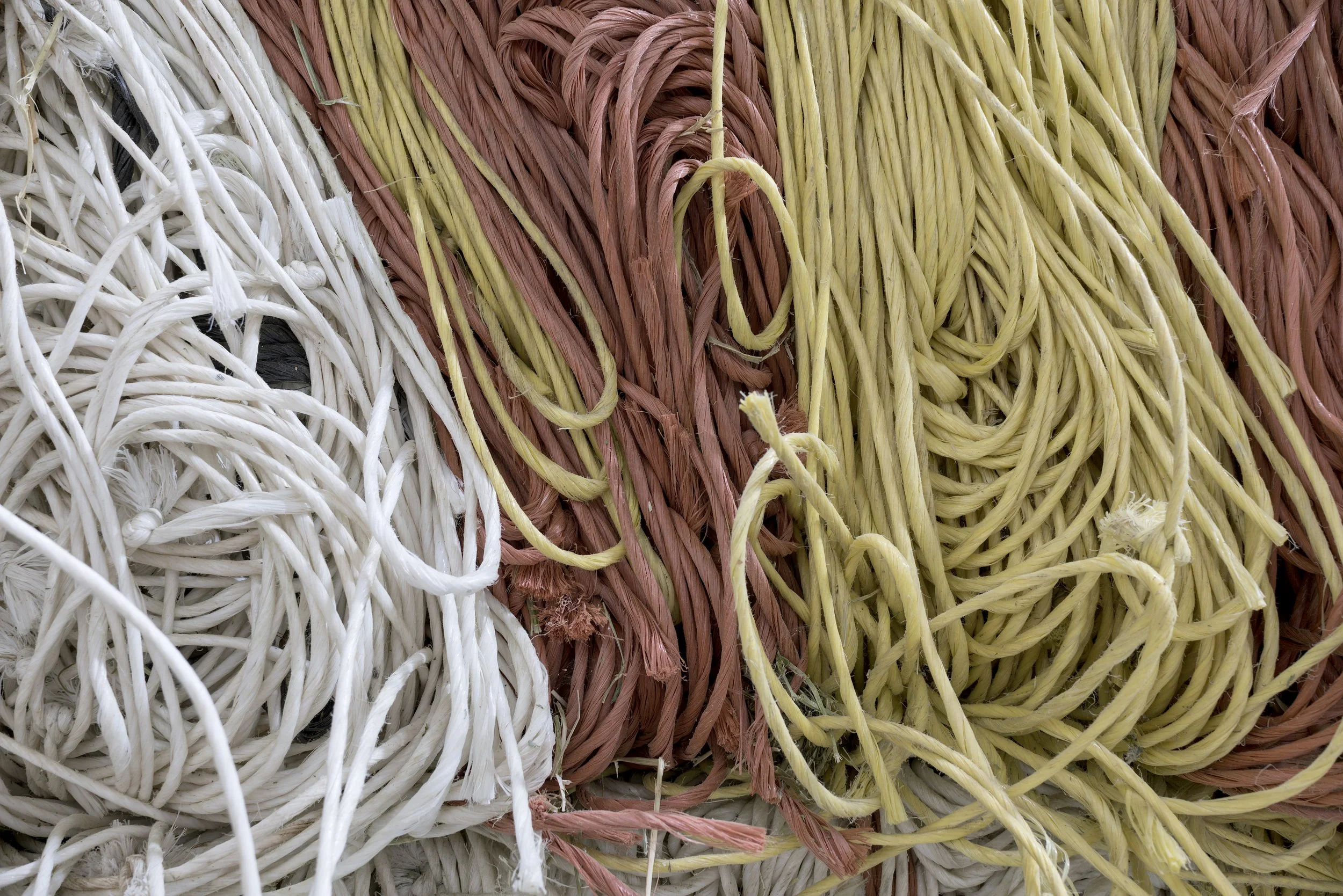 PP Twine.jpg