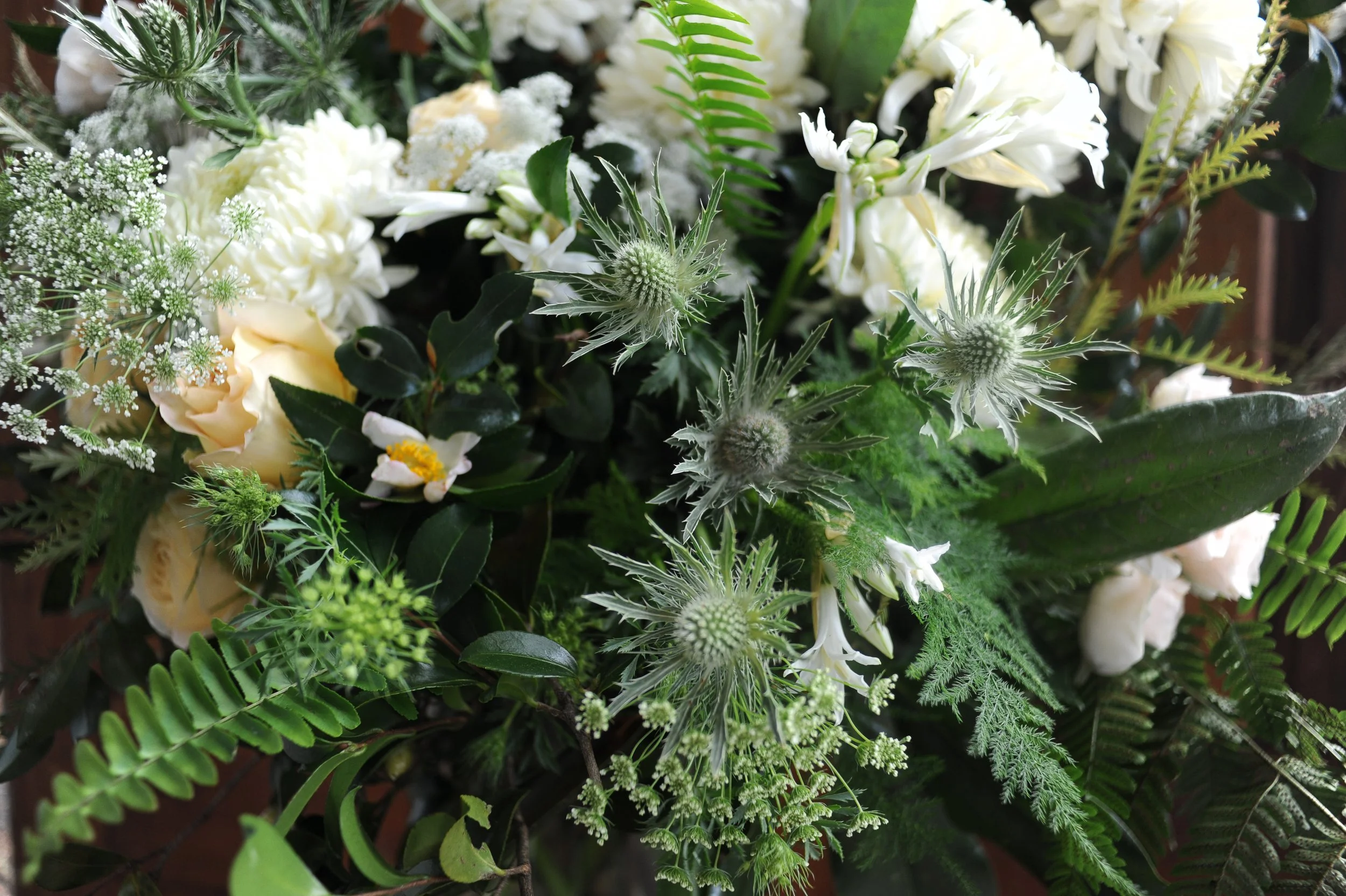 DSC_6780.jpg