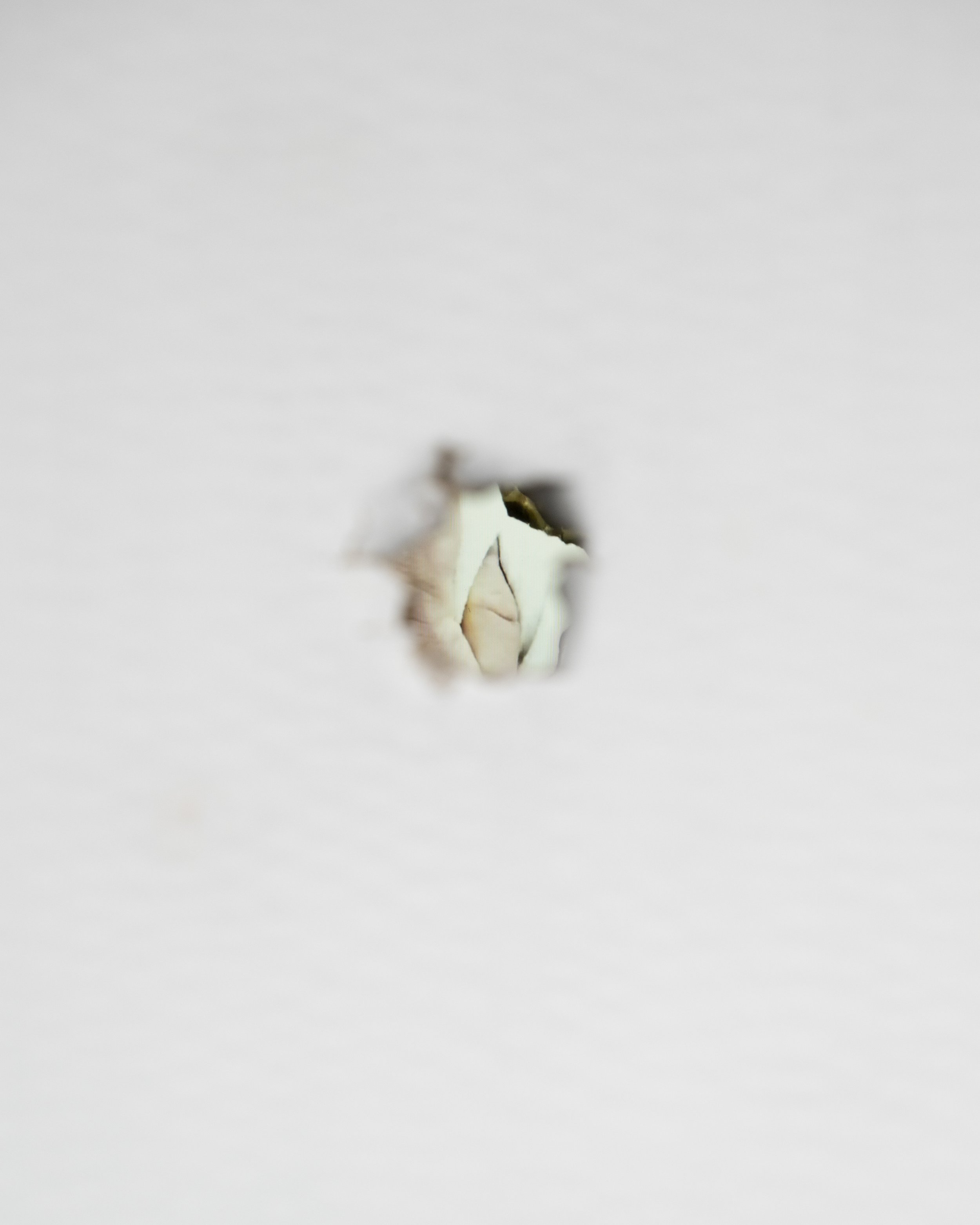 _DSC3290HR.jpg