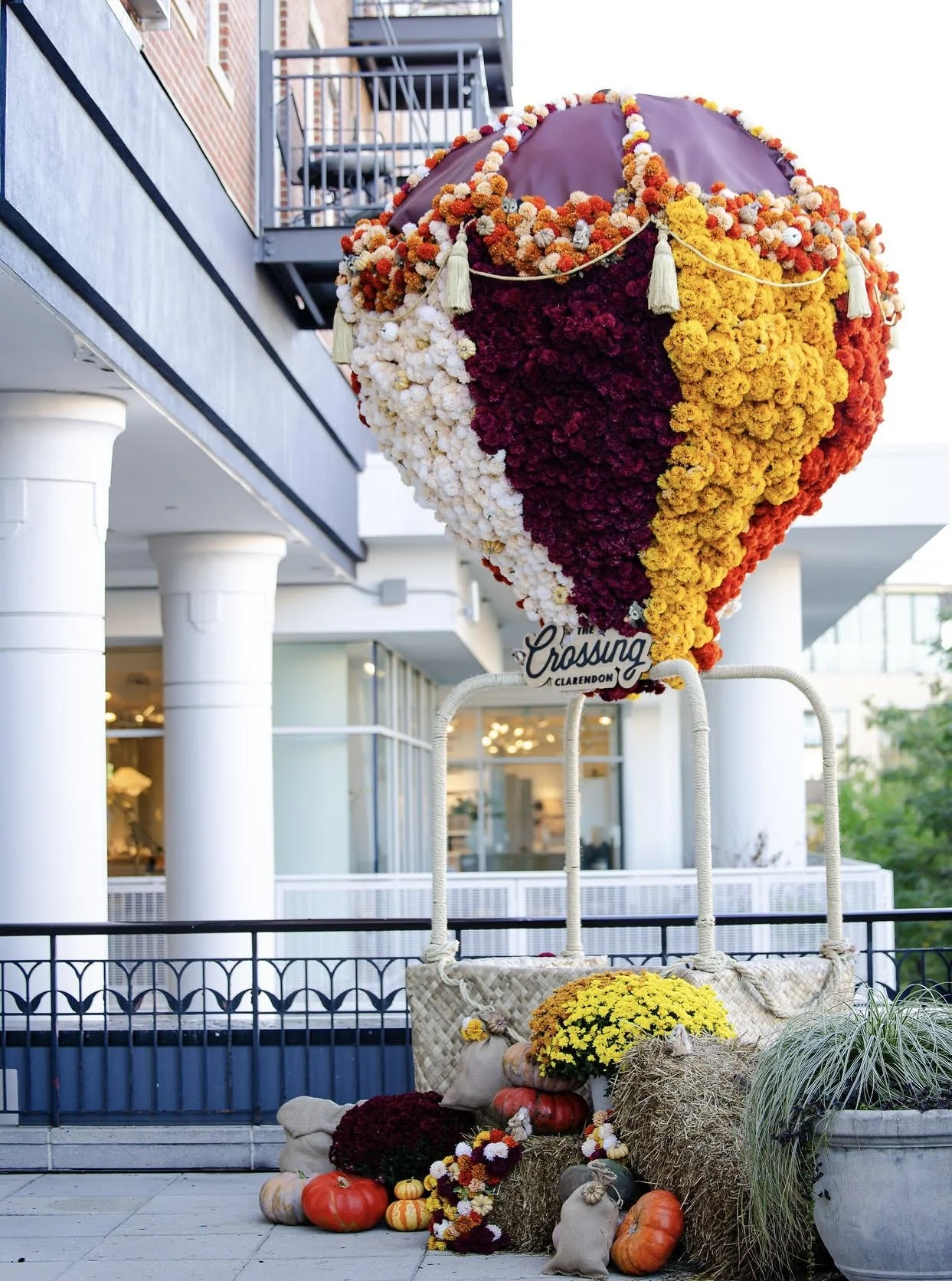 Clarendon Balloon.jpg