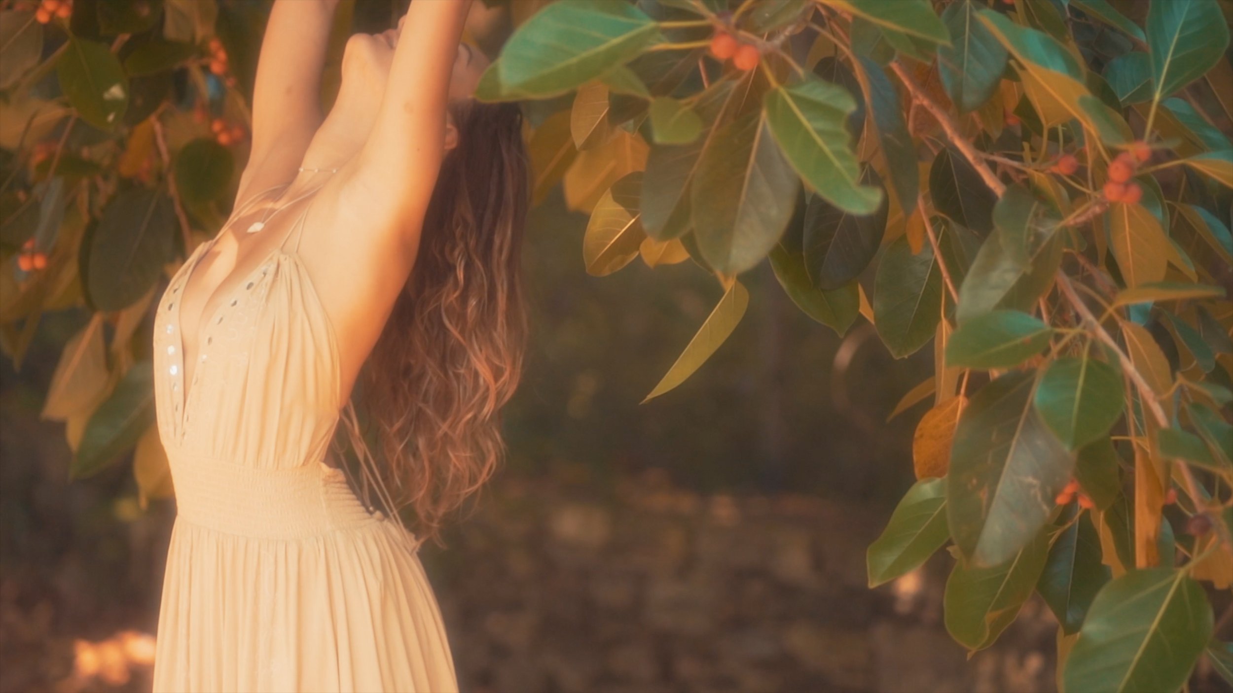 Keep the Flowers Frames by Darya Sea Films-13.jpg