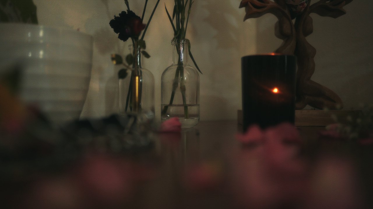 Keep the Flowers THMBNL by Darya Sea Films-17.jpg