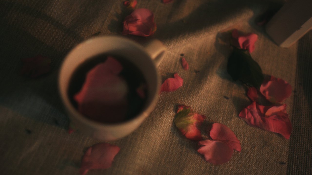 Keep the Flowers THMBNL by Darya Sea Films-16.jpg