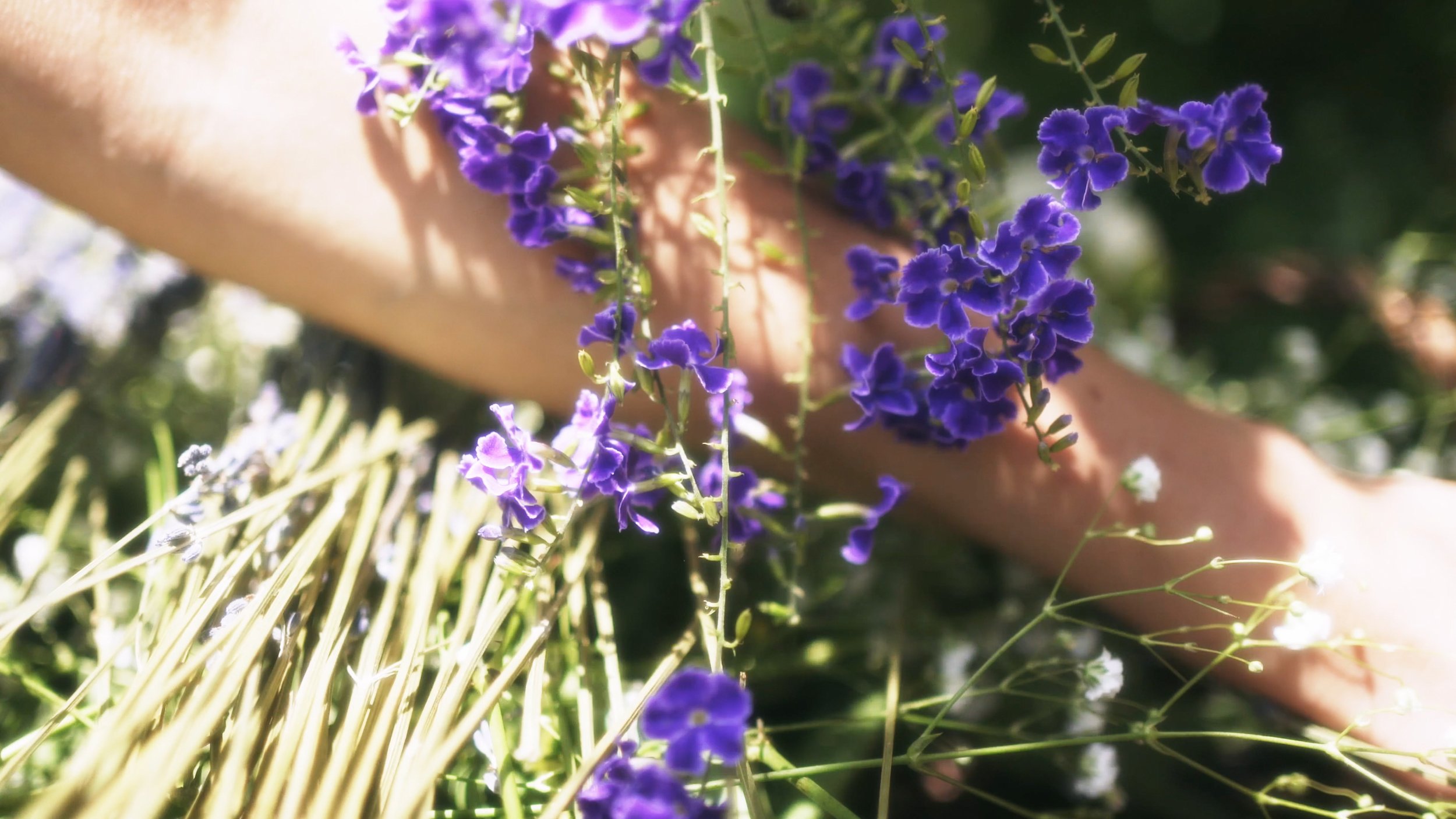 Keep the Flowers Frames by Darya Sea Films-16.jpg