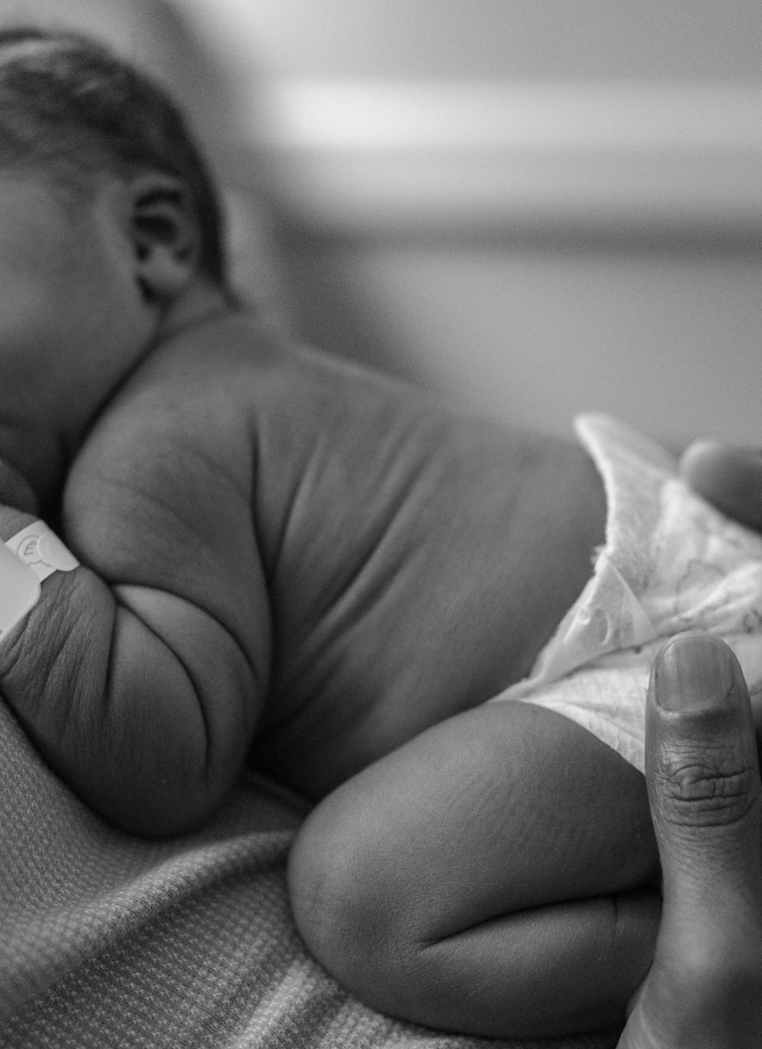 Fresh 48 photos in New Orleans by Payne & Co. Photography