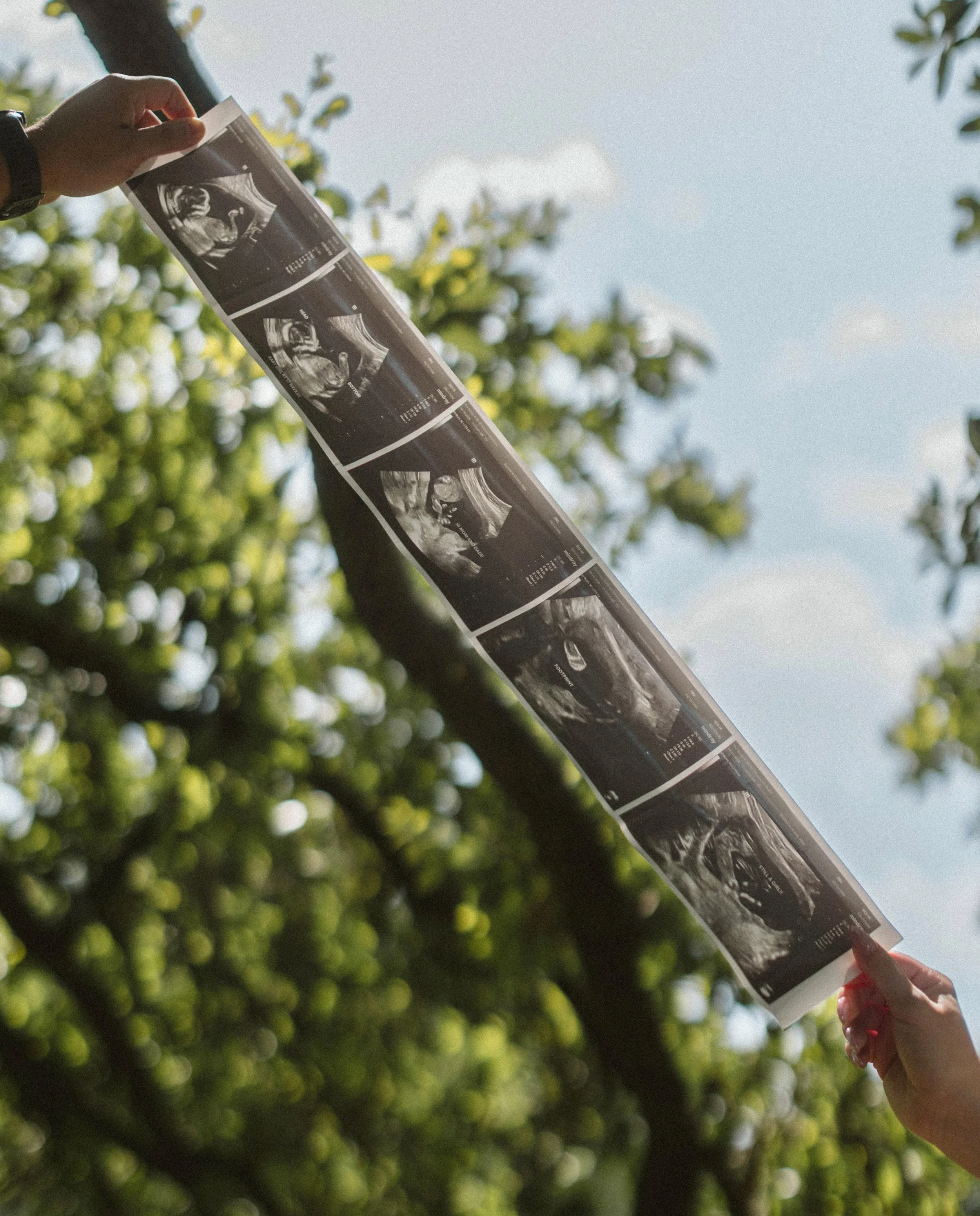 Close-up image of expecting mother holding ultrasound photos during a New Orleans maternity session.