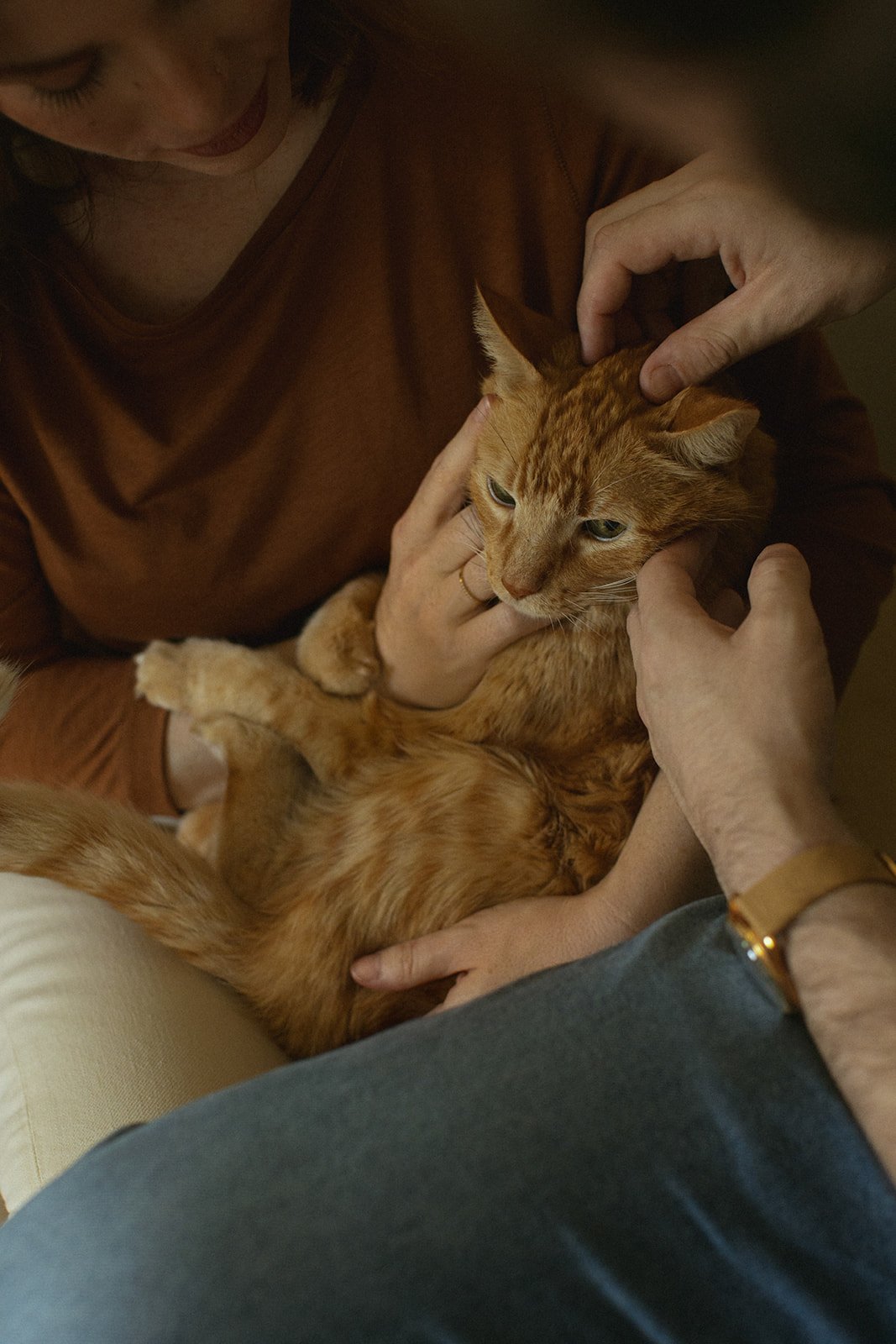 New Orleans in-home family photography with mom and dad holding their family cat. 