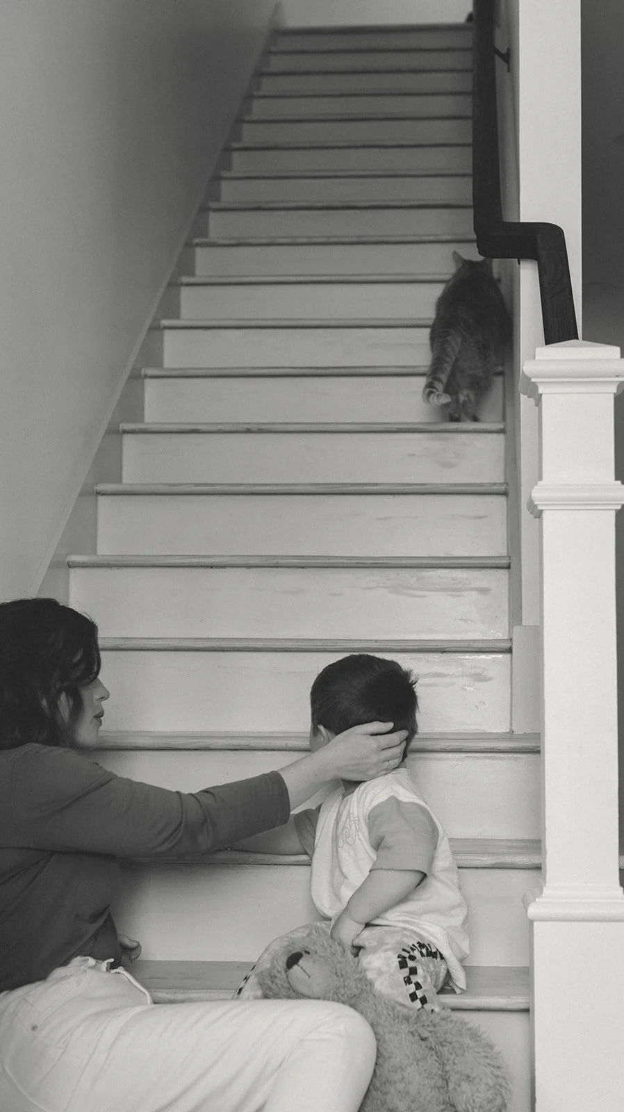 In-home family session New Orleans -- family cat walking up the stairs during candid documentary session.