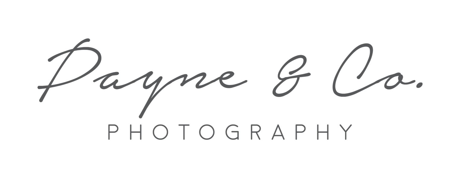 PAYNE &amp; CO PHOTOGRAPHY