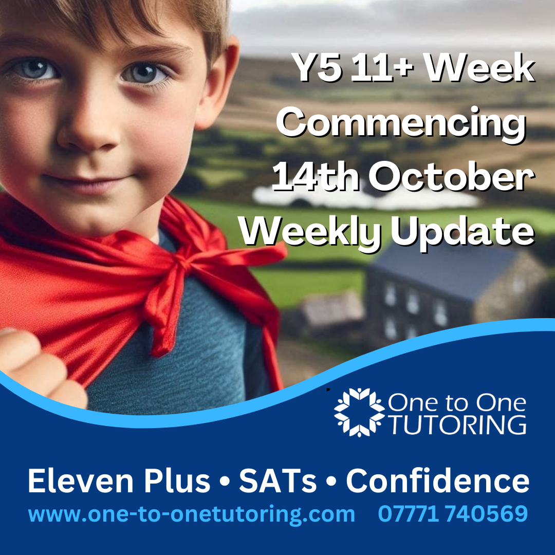 Y5 11+ Week commencing 14th October - Weekly Update