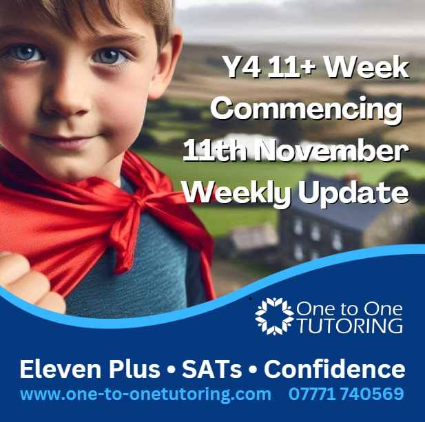 Y4 11+ Week Commencing 11th November - Weekly Update