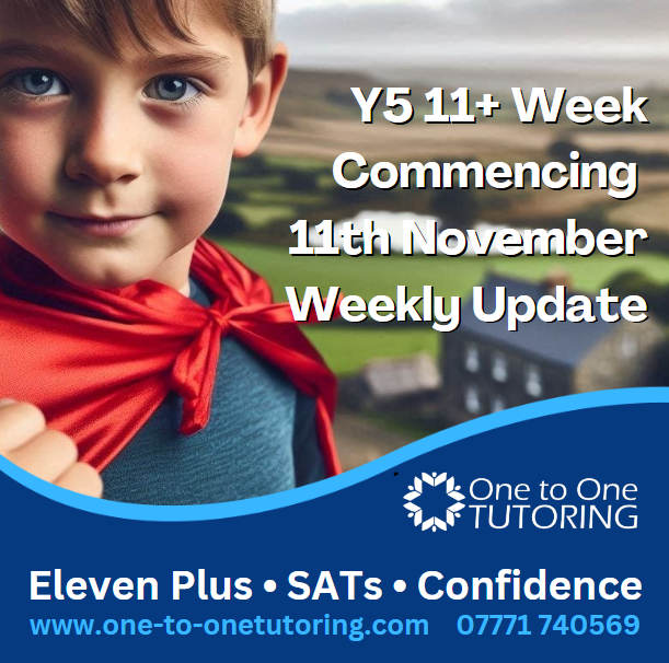 Y5 11+ Week Commencing 11th November -Weekly Update