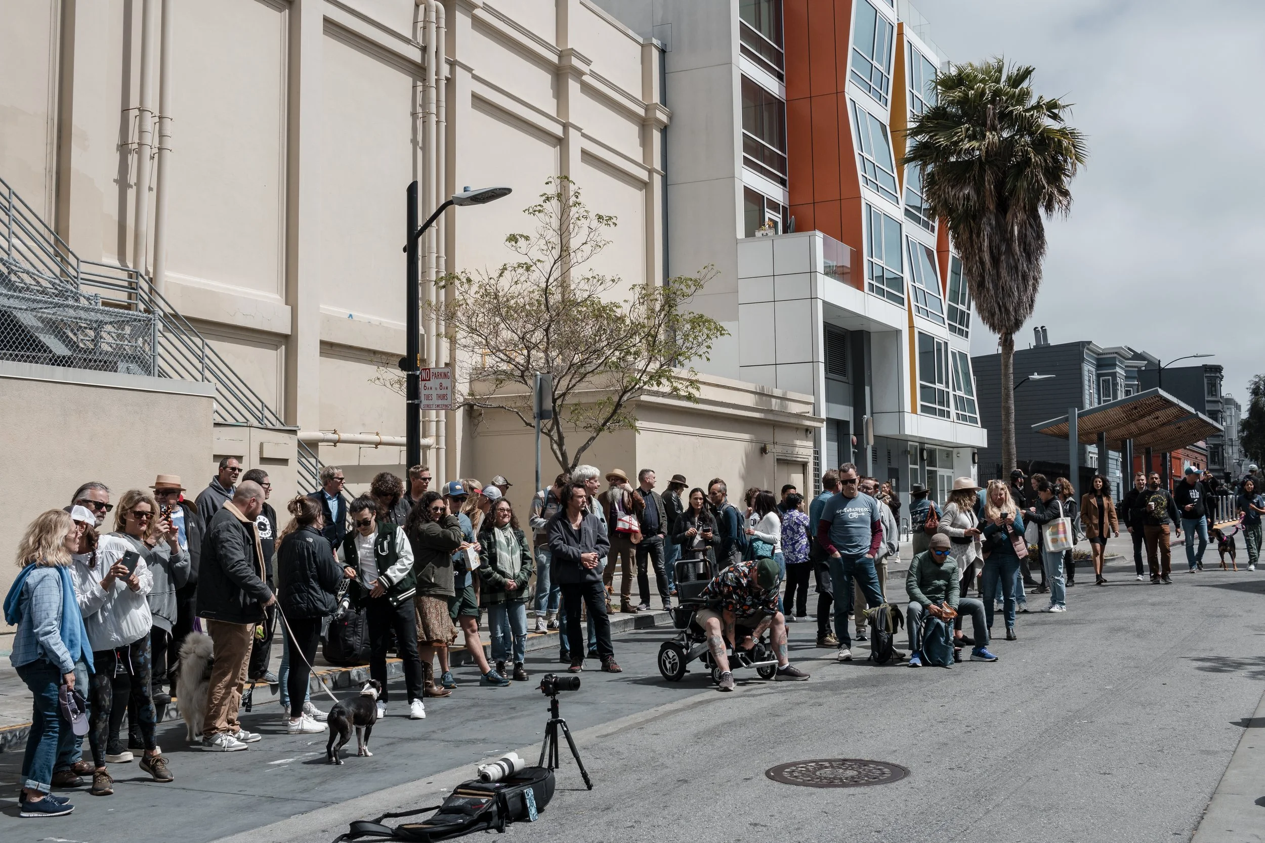A diverse group of people standing in a line along the sidewalk in an urban area, with some using smartphones, dogs on leashes, and a person with a wheelchair. Modern buildings and a palm tree are in the background.