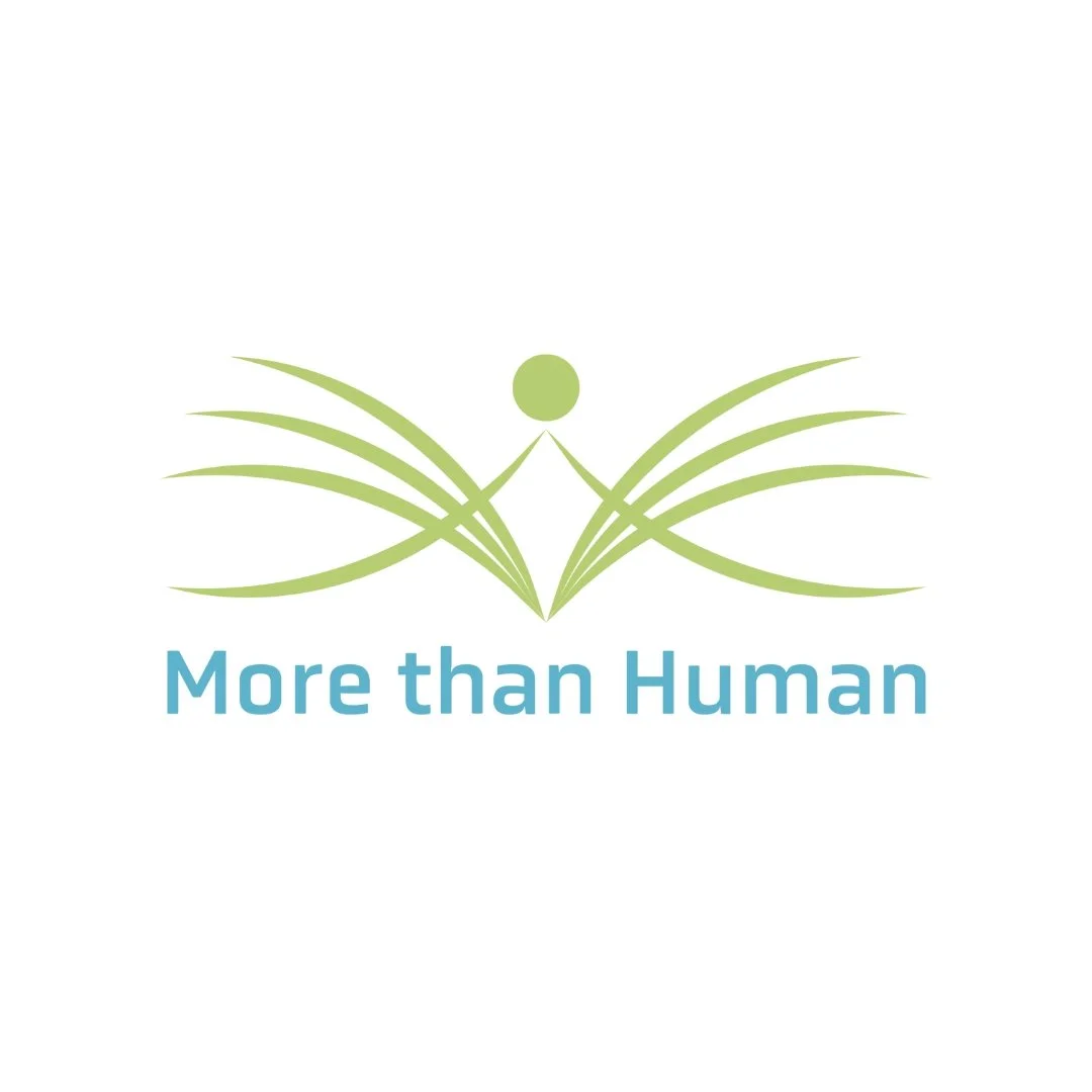 More Than Human Project.jpg