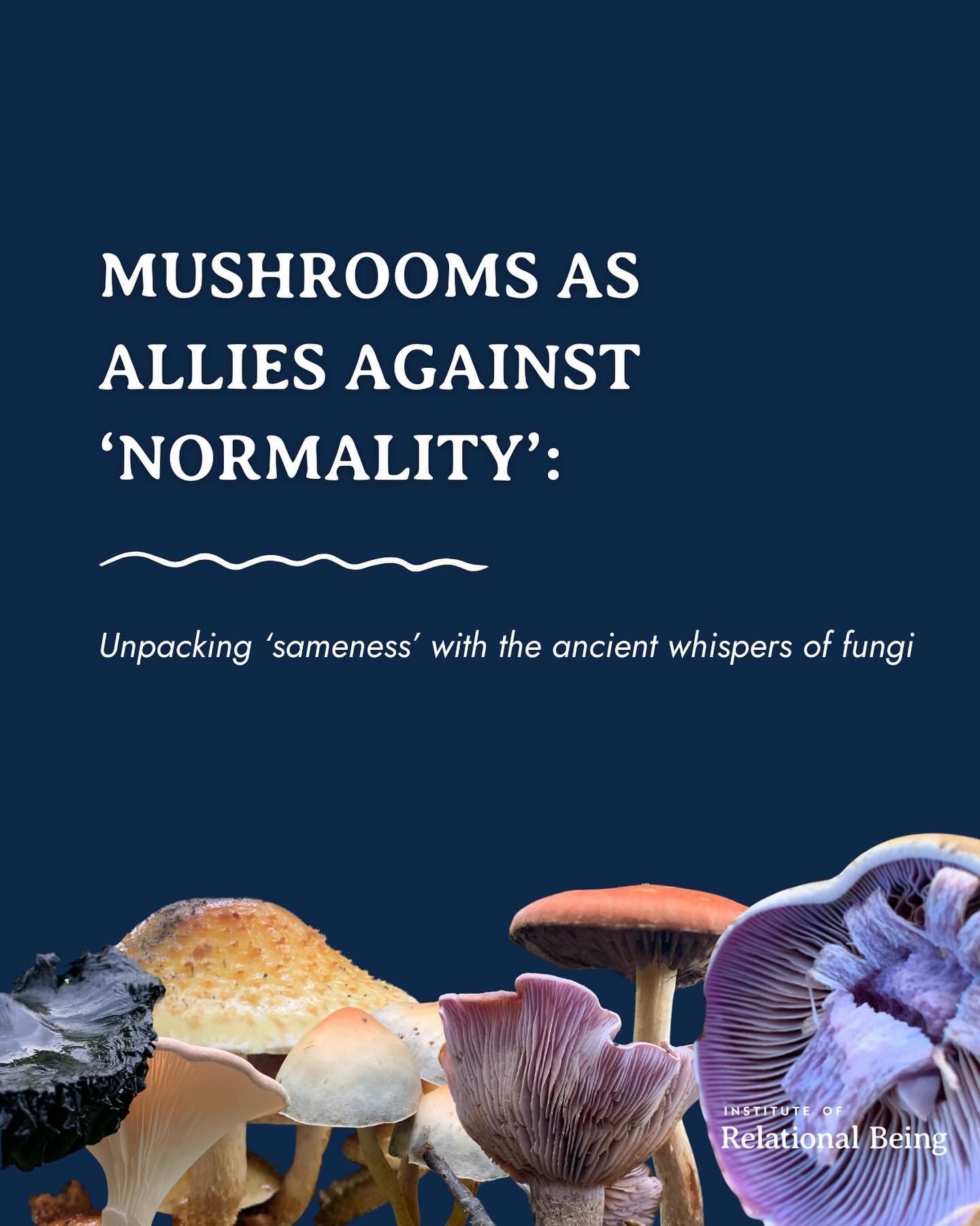 🌎 Humanity stands at a pivotal moment, confronting the consequences of centuries of imposed &lsquo;normalcy.&rsquo; From the shadows of this narrative, mushrooms emerge as profound teachers, celebrating diversity and defying molds.

In the quest for
