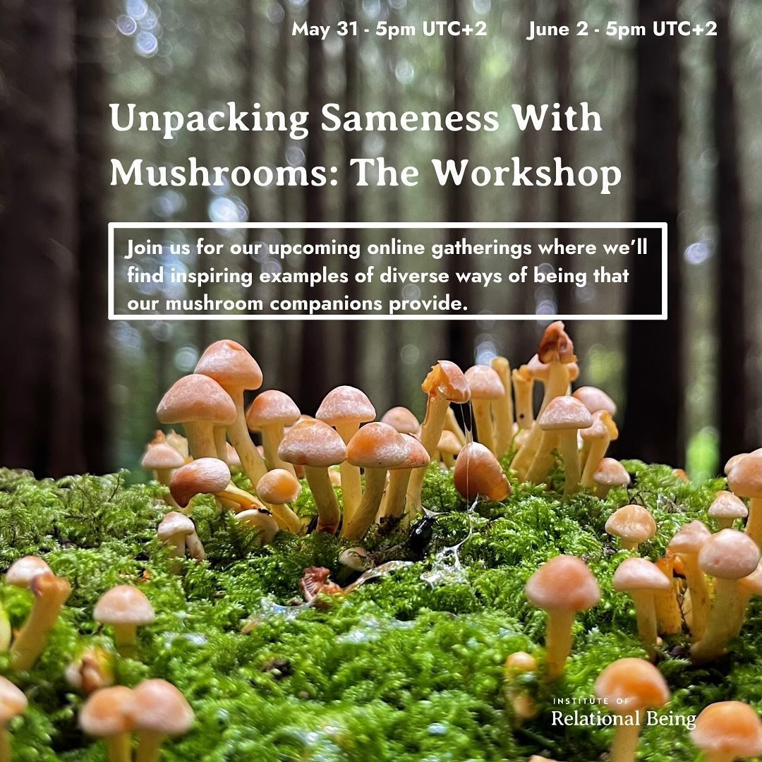 🌿 Step into a world where all kinds of minds and bodies are celebrated. Join us on a transformative journey inspired by the wisdom of mushrooms. 🍄 

This workshop is merely just an invitation for you to engage in conversations as part of a communit