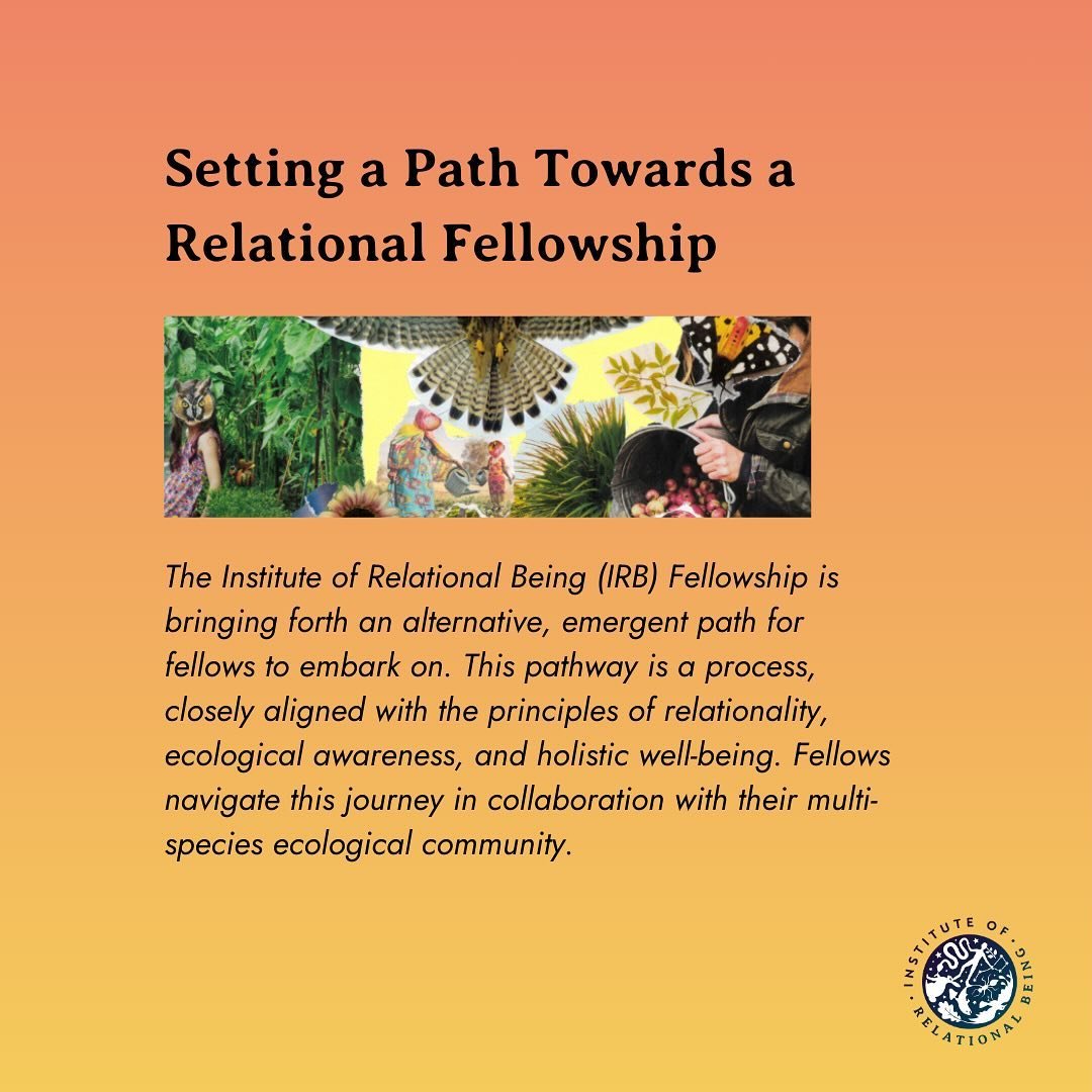 The Institute of Relational Being Fellowship is a living and emerging process and inquiry. The goal is for fellows to feel empowered and supported, so they may be vulnerable and open to navigating the complexities of our interconnected world with gre