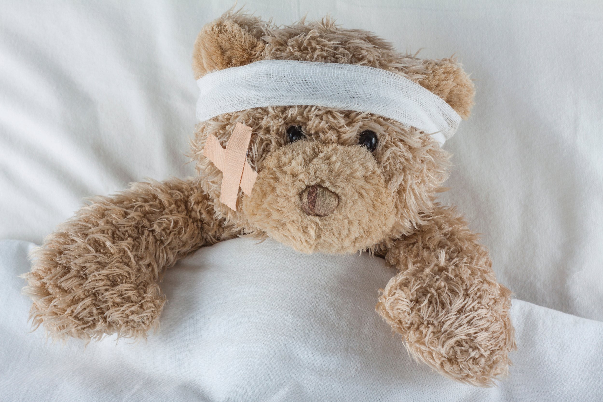 Licensed - AdobeStock_729319105 (Teddy Bear Care).jpeg