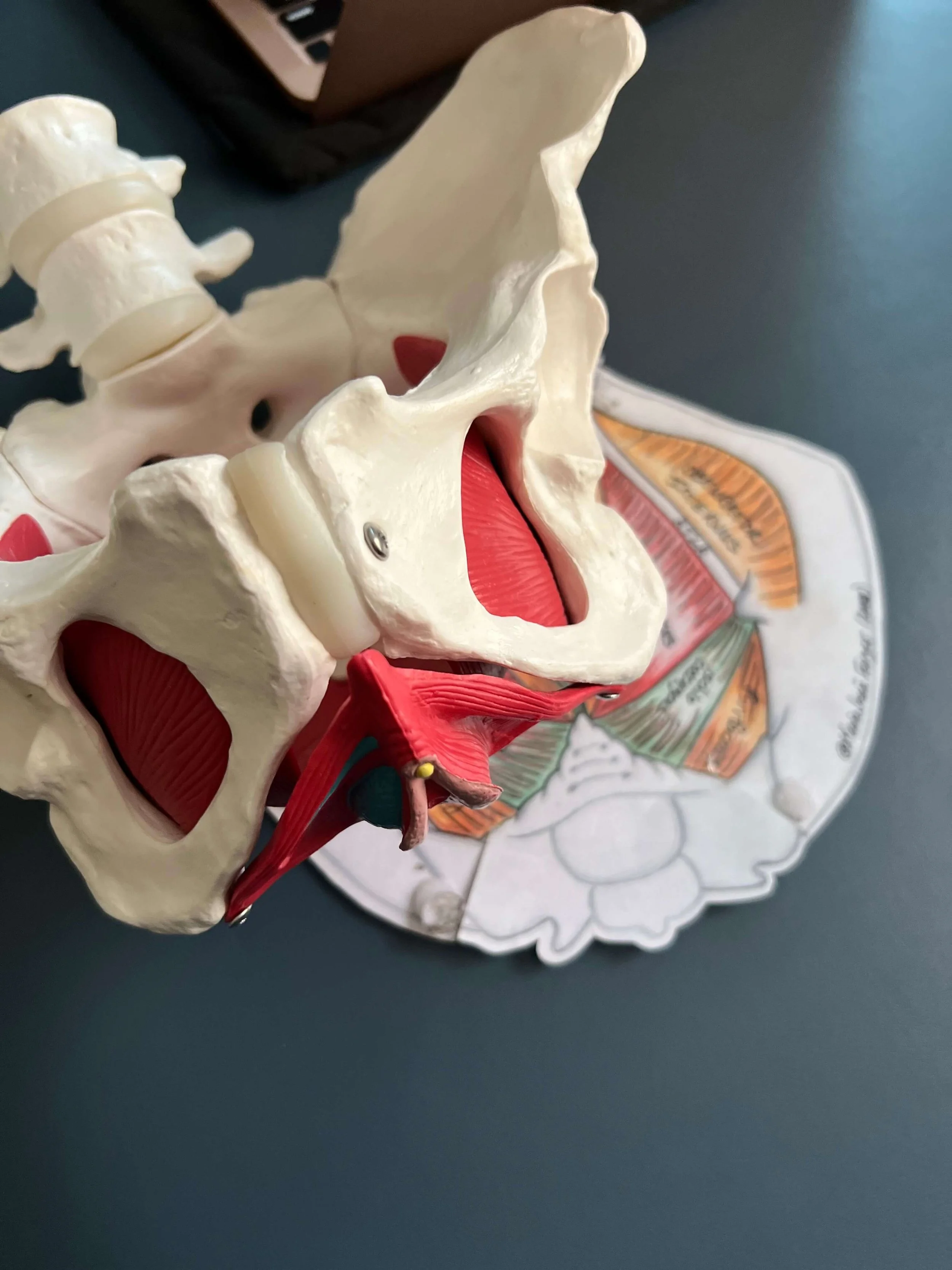 bladder pain without infection treatment oakland CA