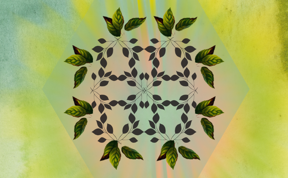 My secret weapon for staying balanced