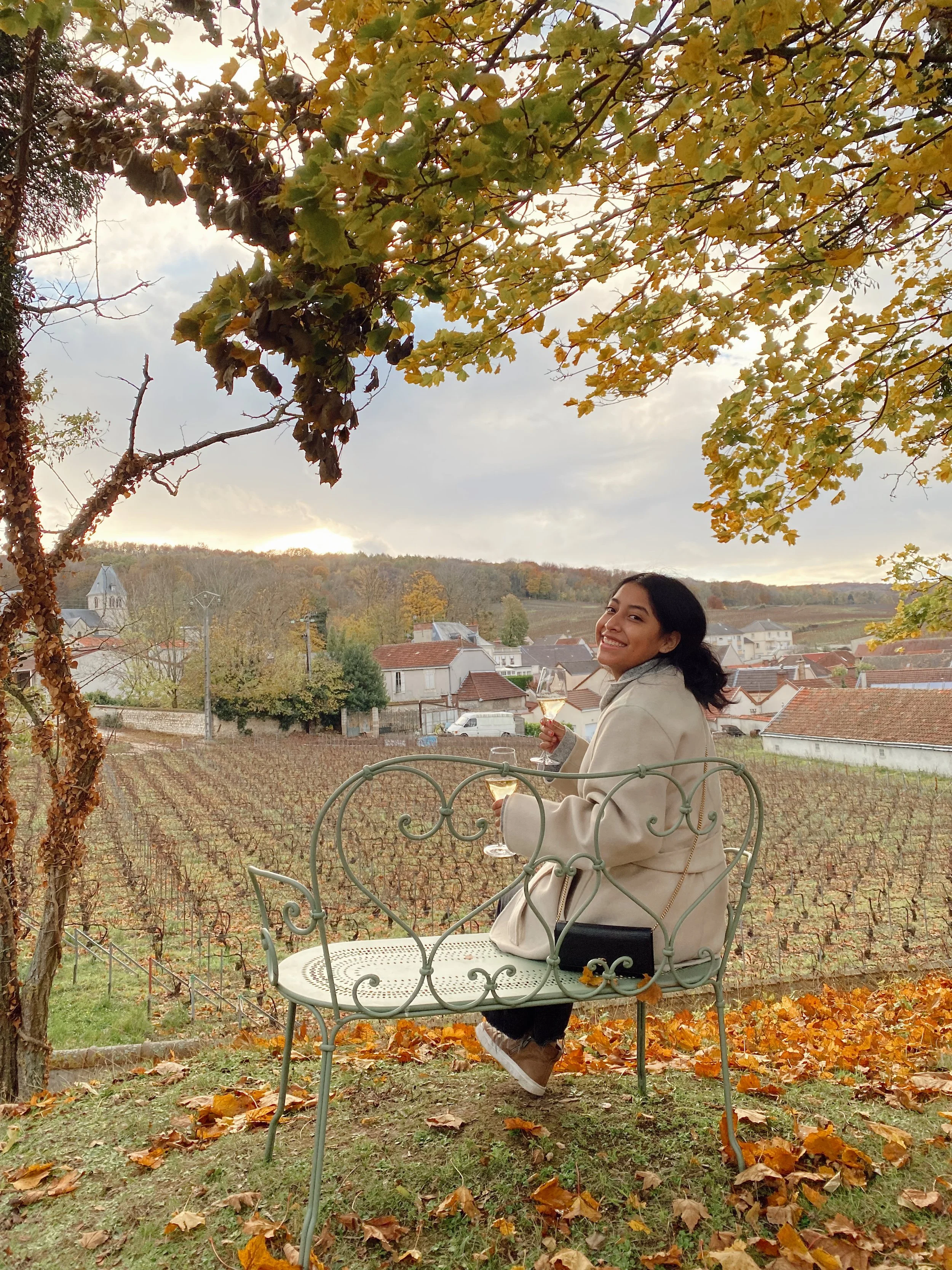 where to eat &amp; drink in reims
