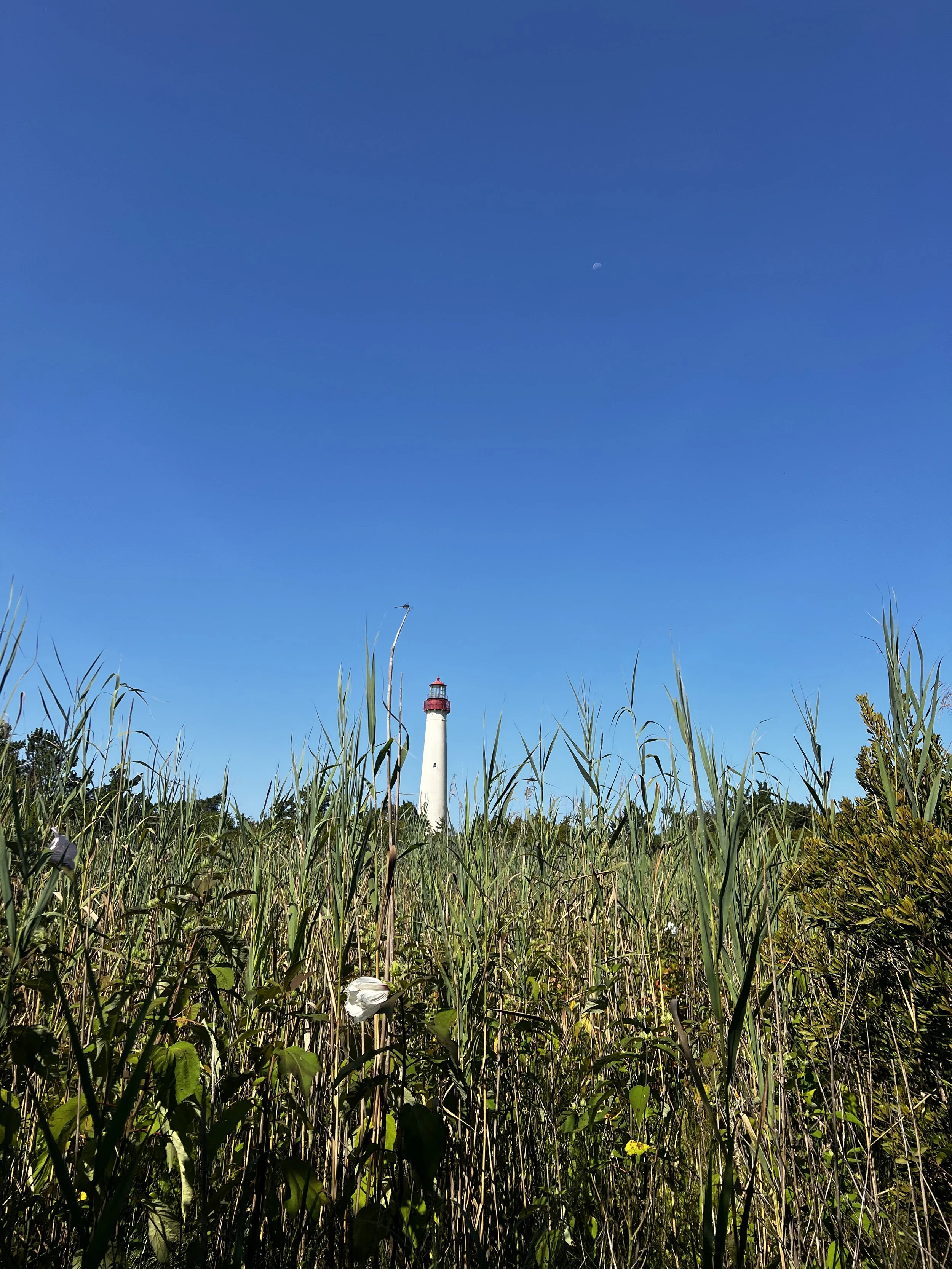 IMG_4532.JPG