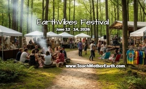 Mindful Melodies at Earthvibes Music Fest