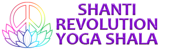 SHANTI REVOLUTION