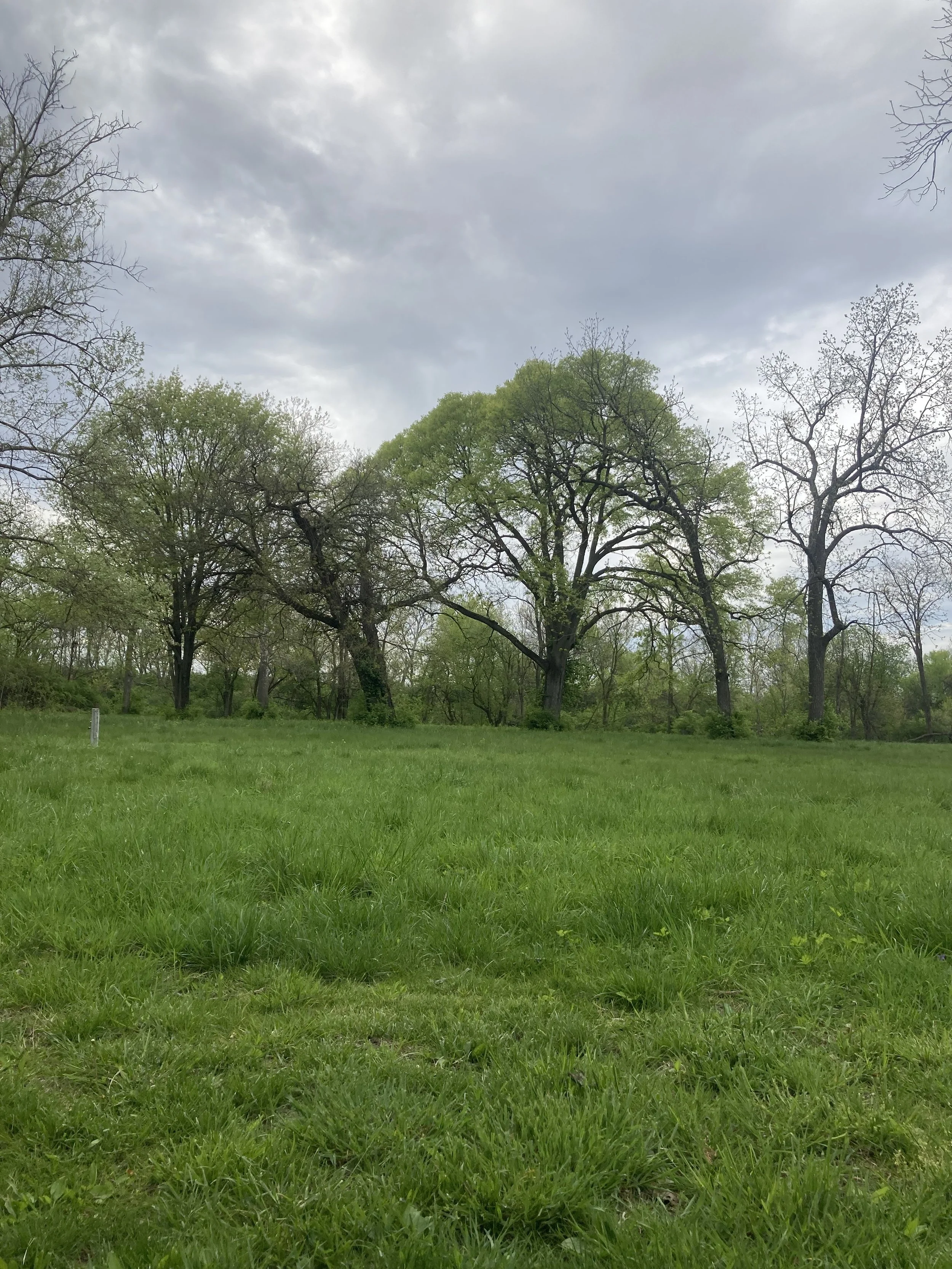 ‘Hardscape Permanence’, ‘Senior Night in North Country’, &amp; ‘Father, Herculean’.