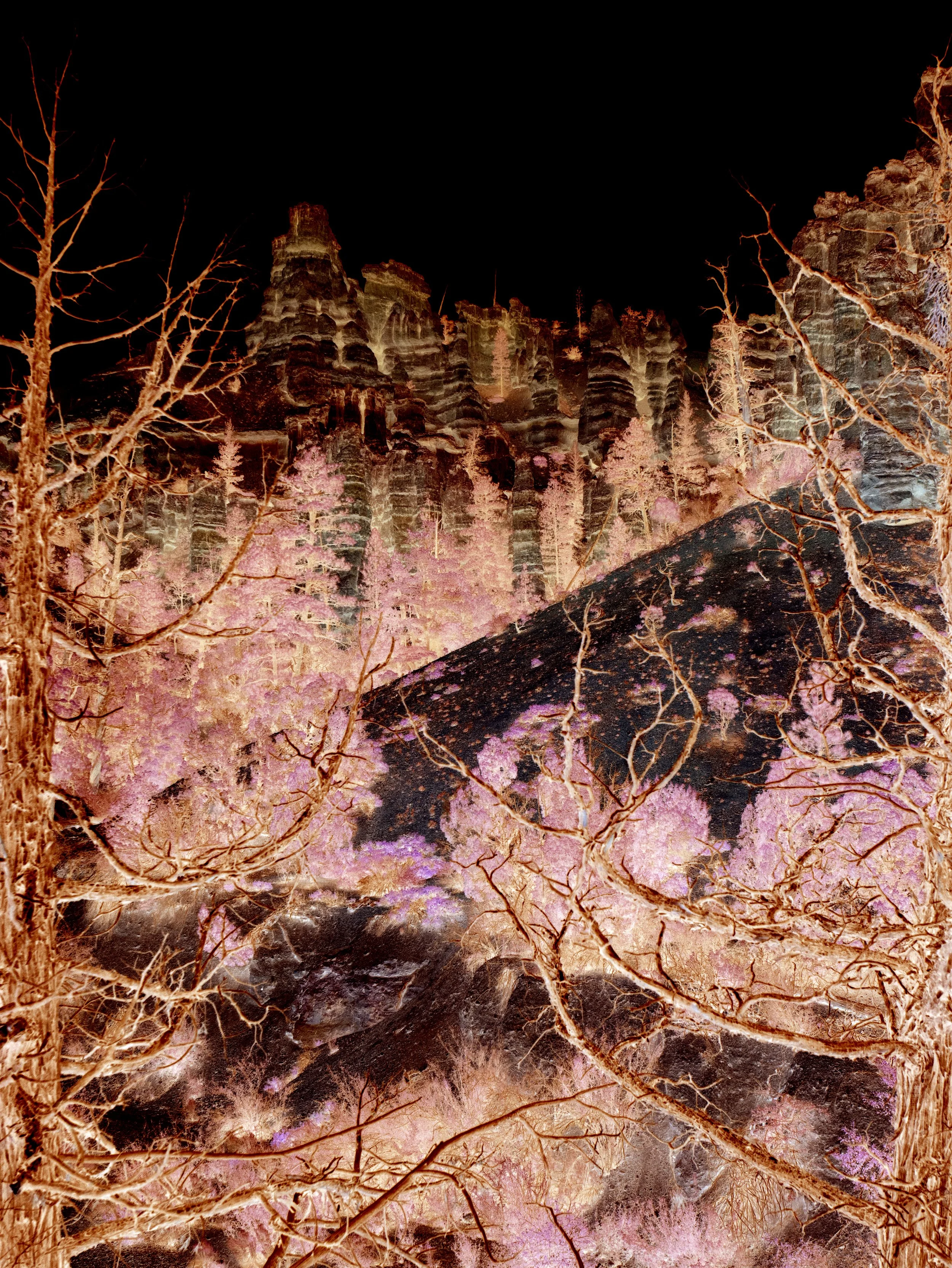 ‘To Rest The Soul of A Hummingbird’