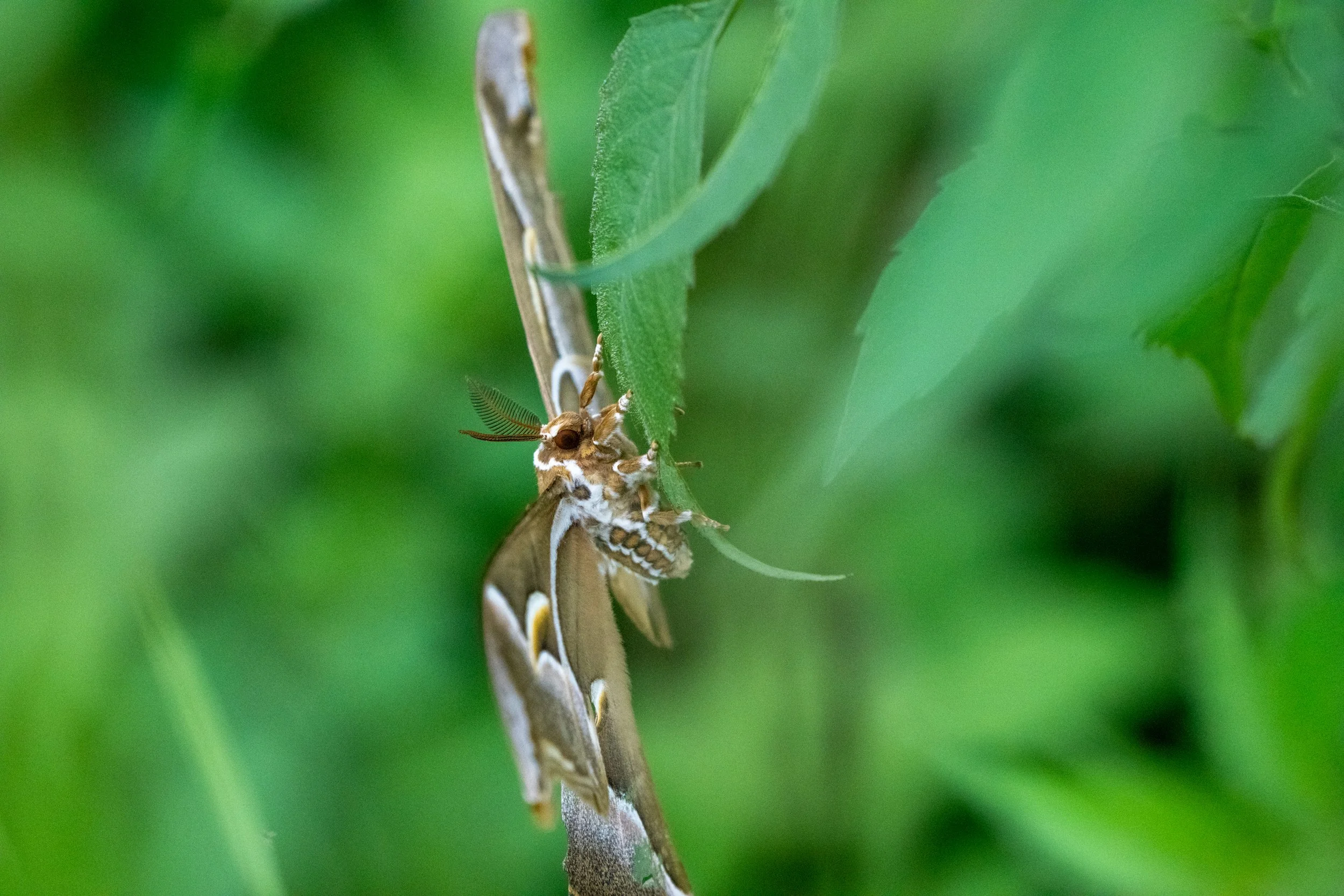 ‘It's Different Now’ 