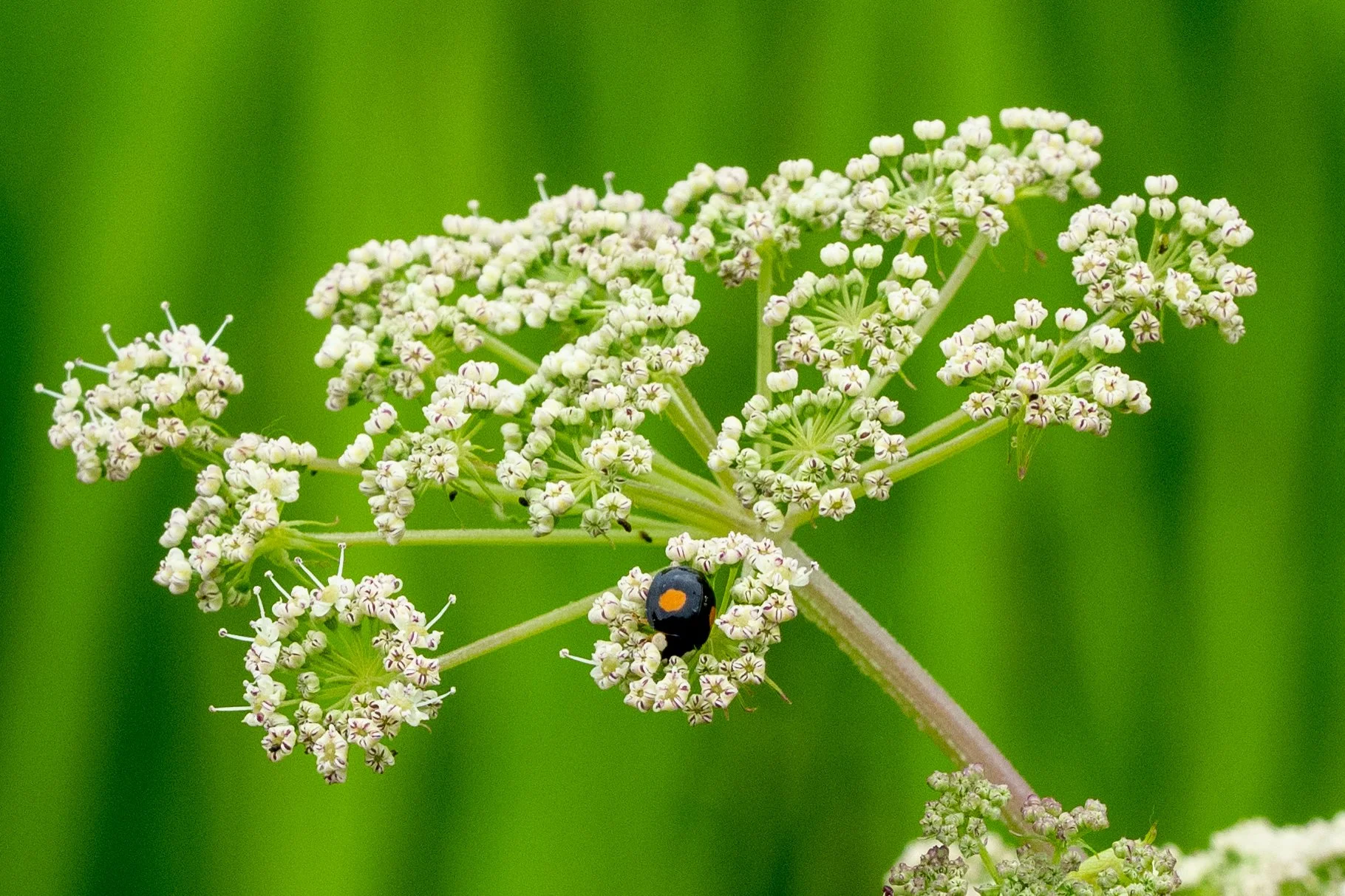 ‘The Right Time’