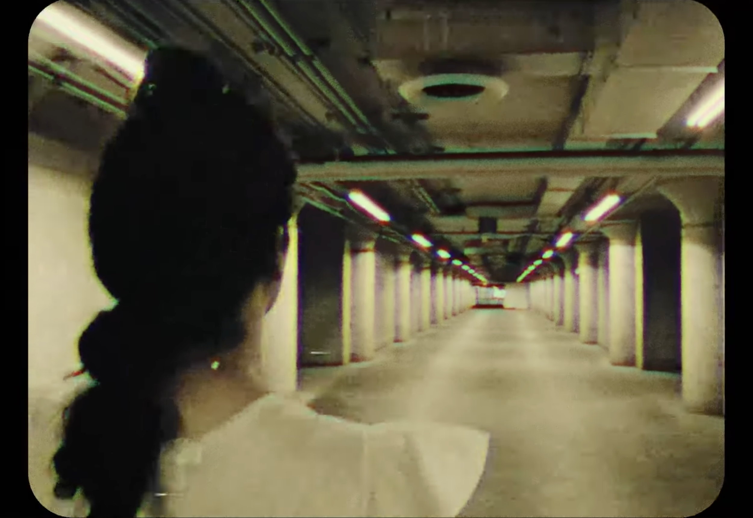 ‘MEANING OF RAVENS’