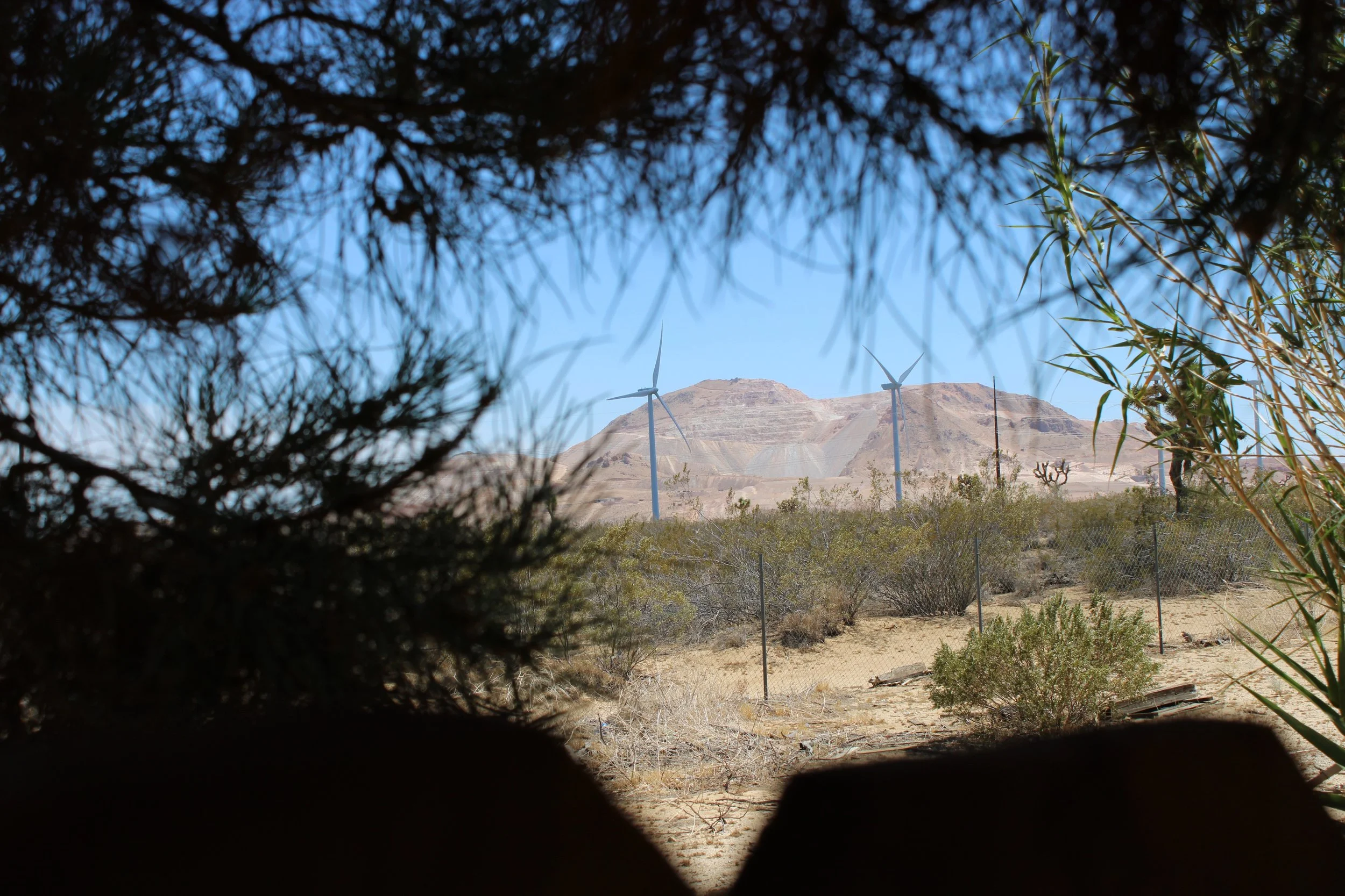 ‘The Real Folk Blues’