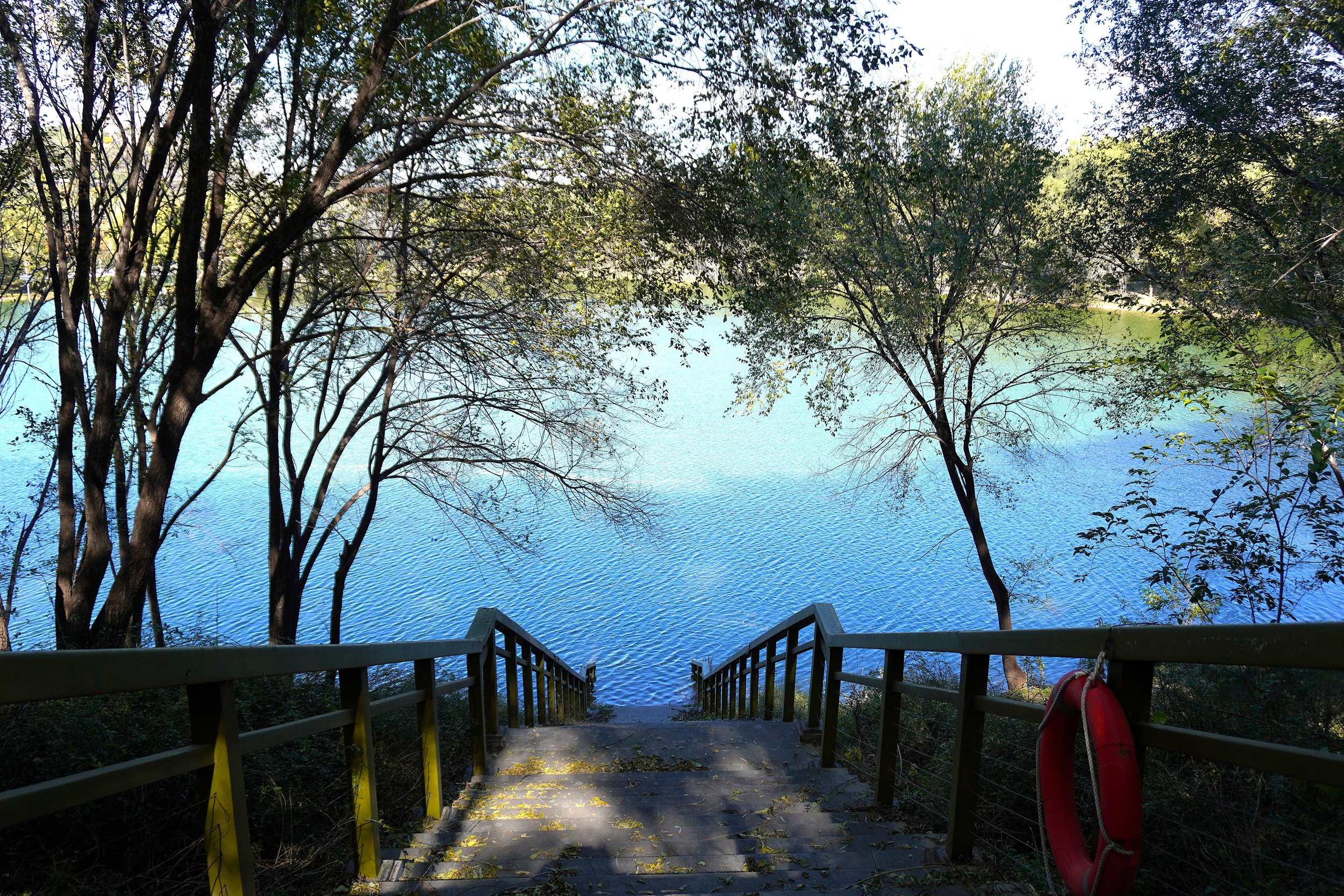 ‘School Lunch Trio’