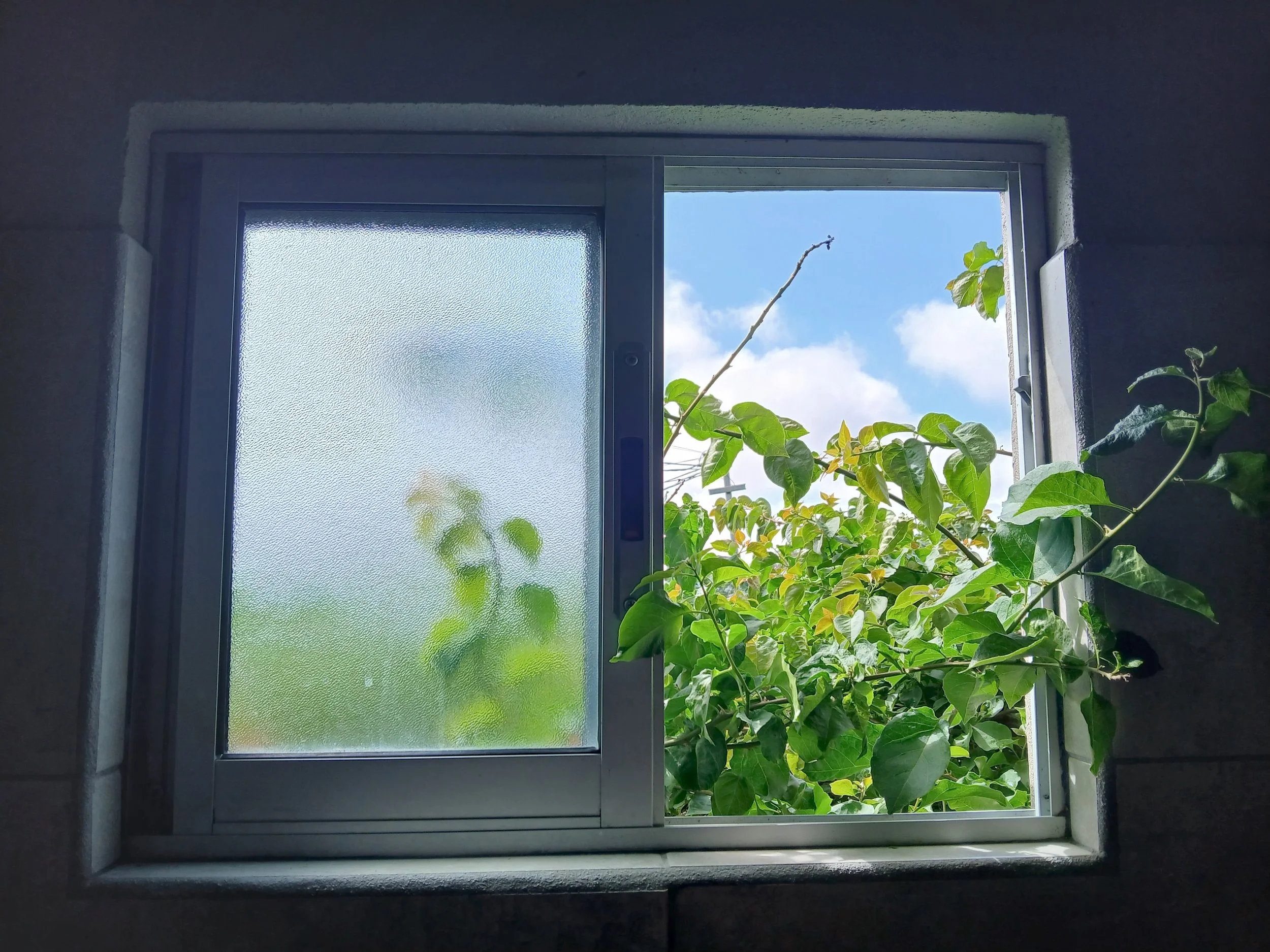 ‘creatio ex nihilo’