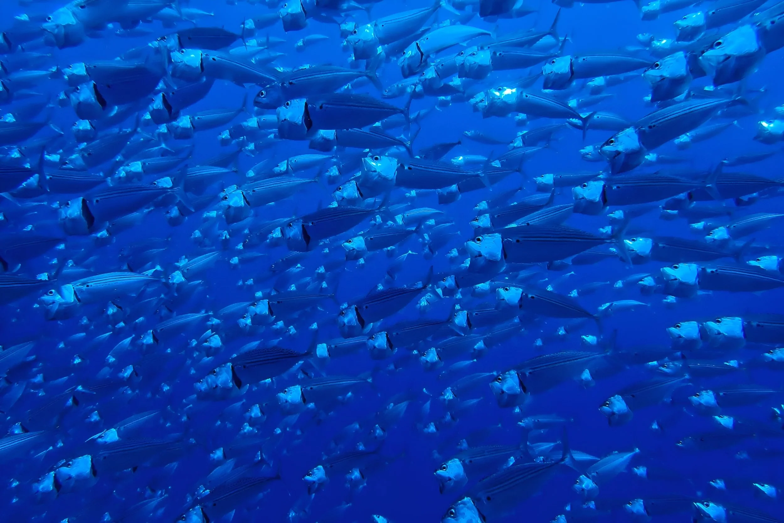 ‘Two White Lines (Closer to You)’