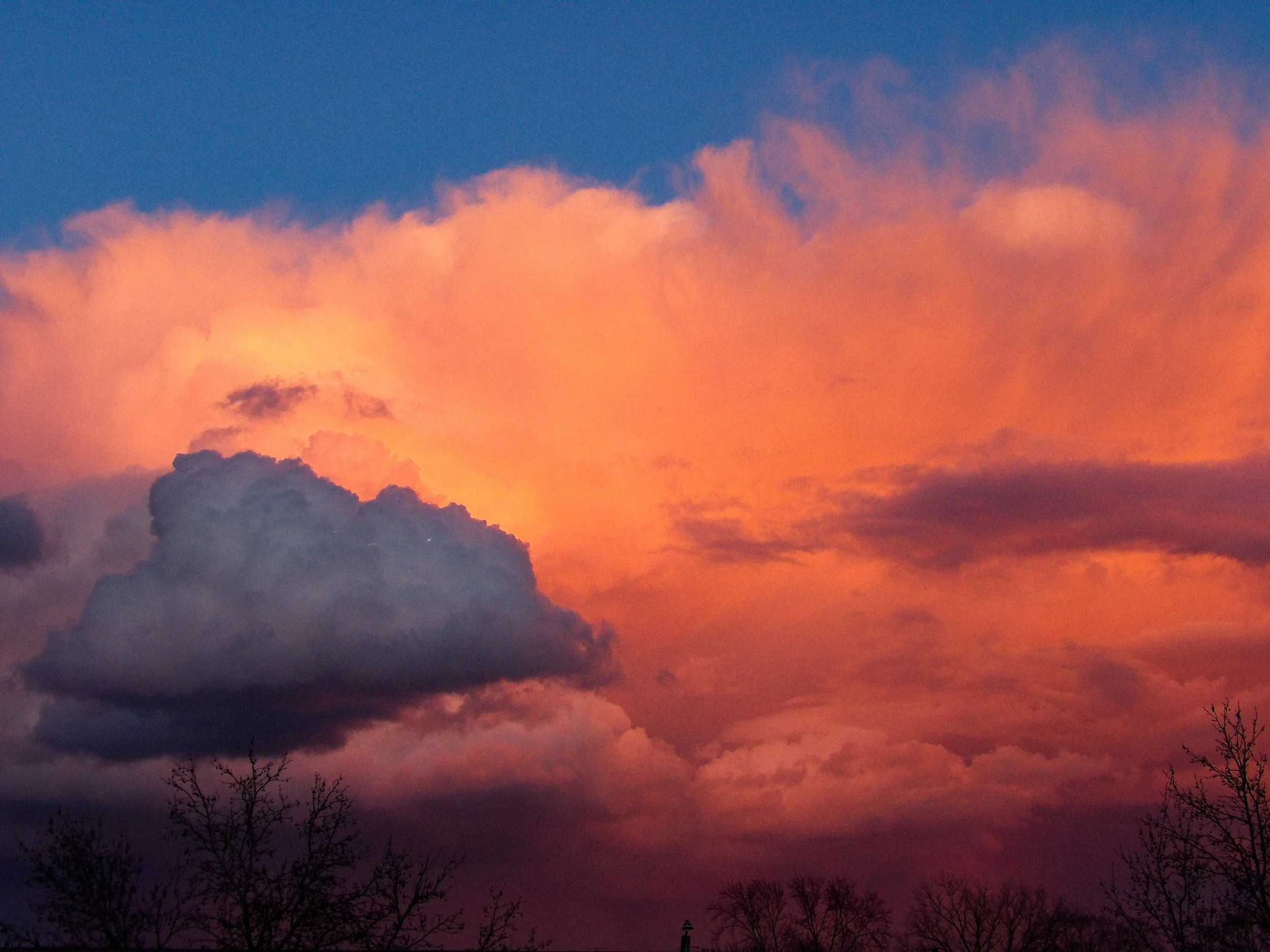 ‘(All I know is) Resilience’