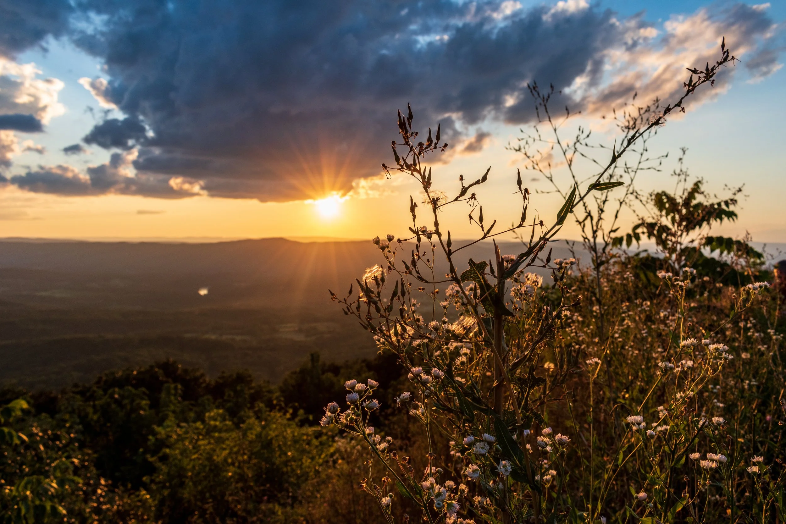 ‘Monday Evening’