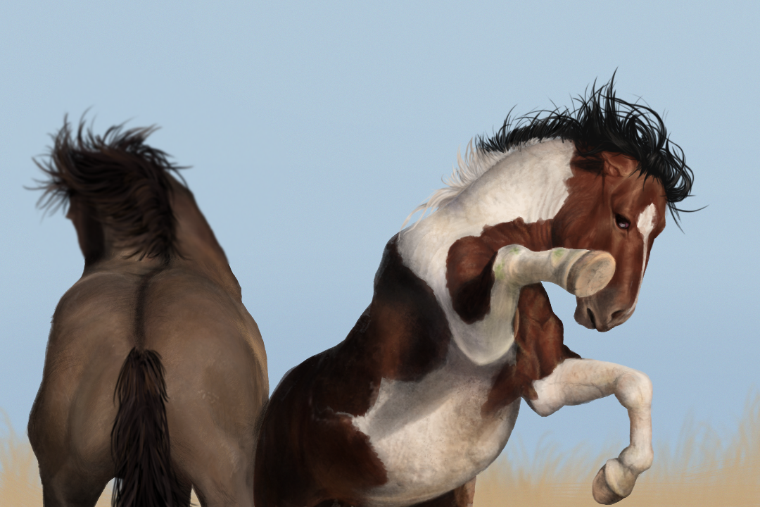horse practice painting.png