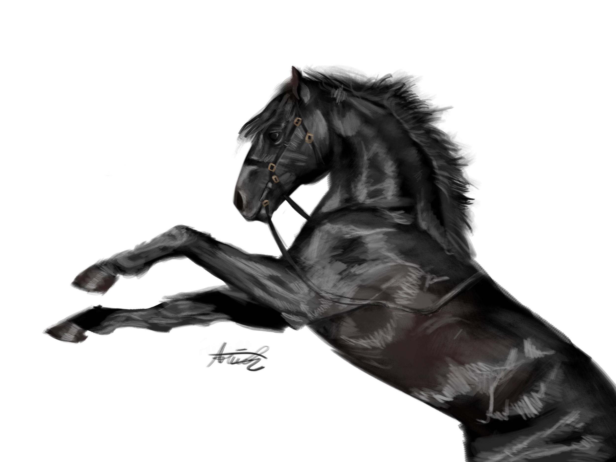 Horsek.png