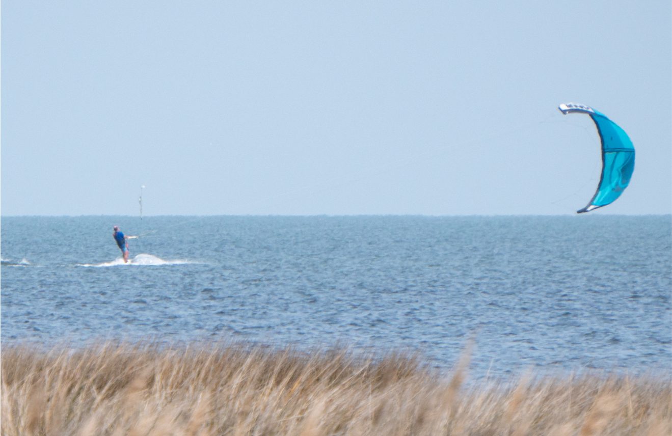 Person kiteboarding on a lake or ocean with a blue kite and grassy shoreline in the foreground.