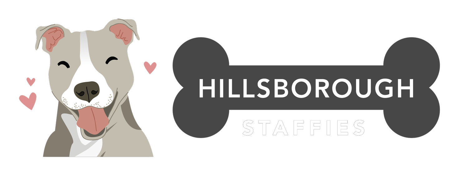 Hillsborough Staffies