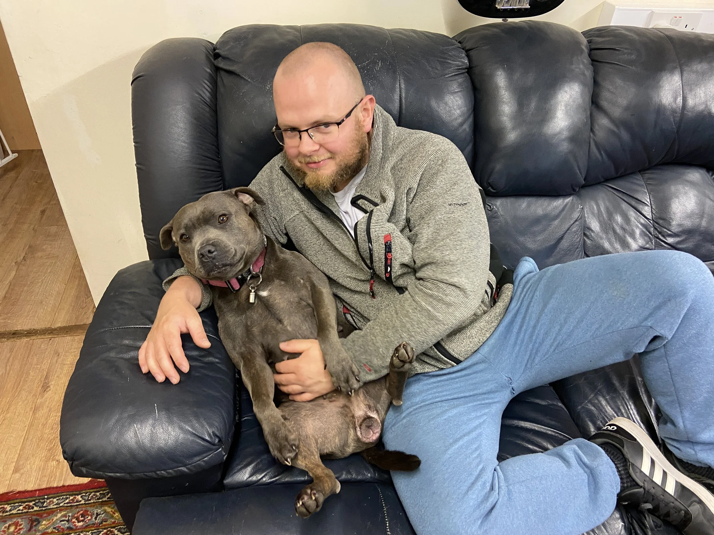 Tim getting stafford cuddles